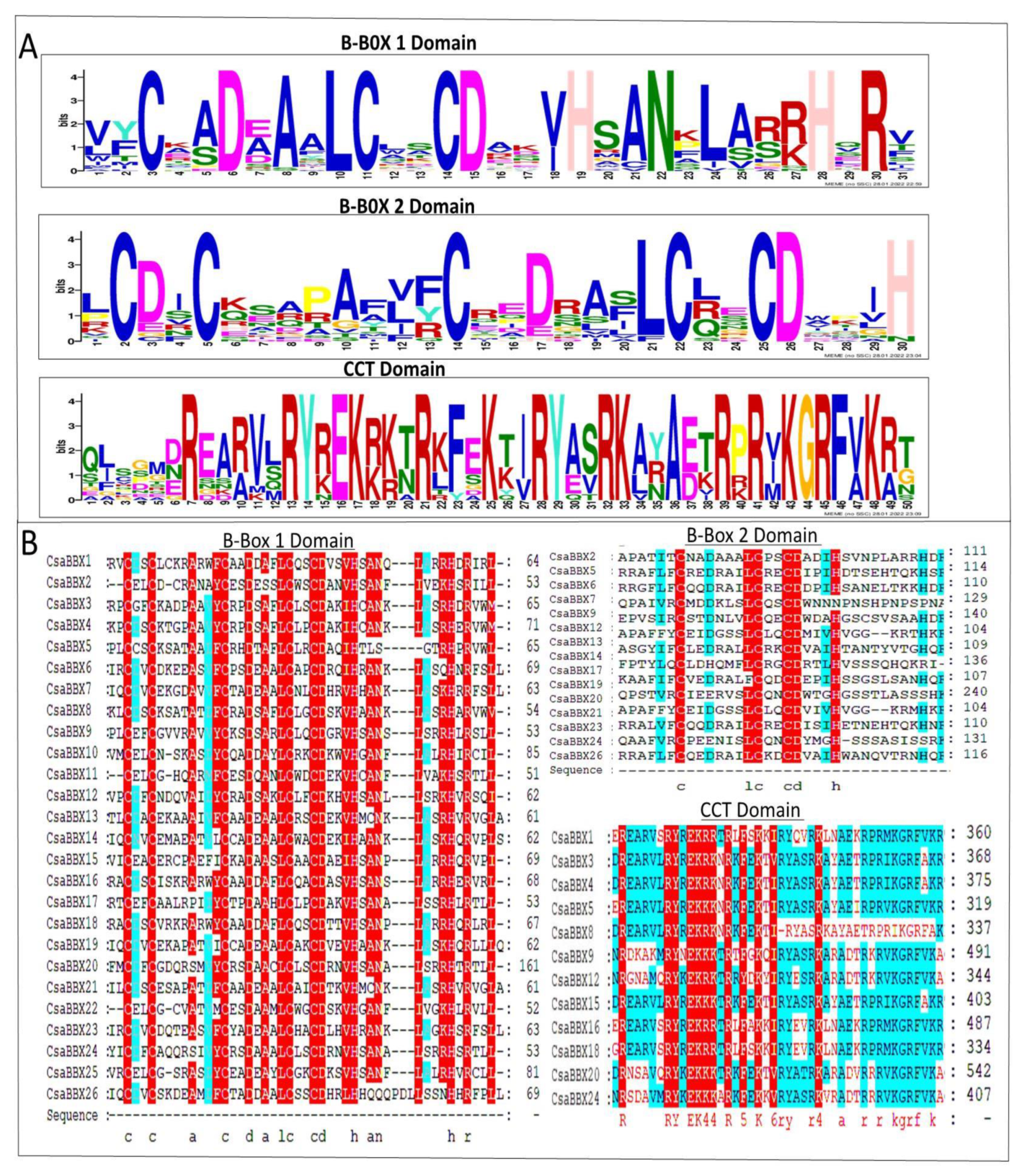 Genes 13 00658 g003