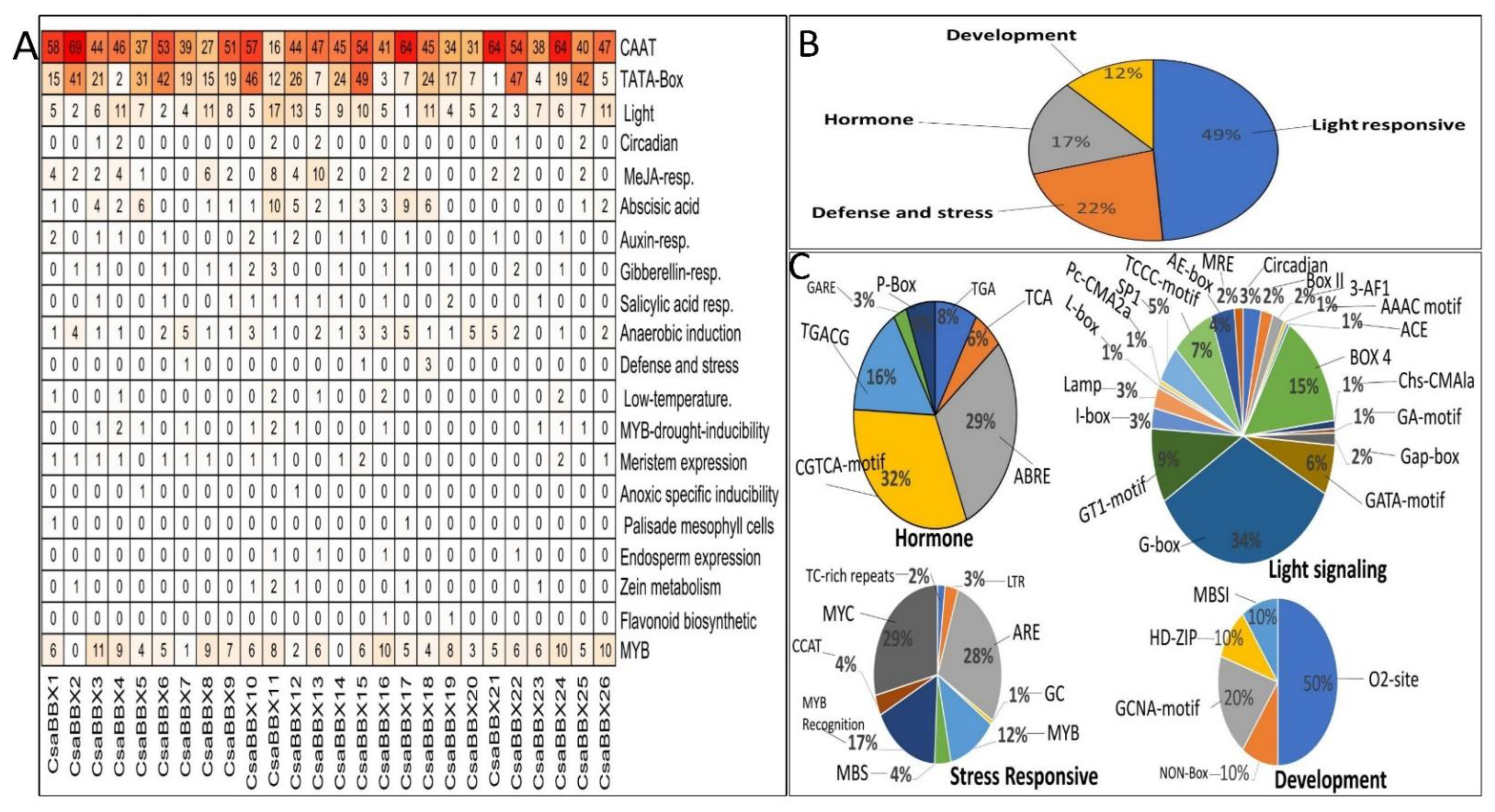 Genes 13 00658 g006