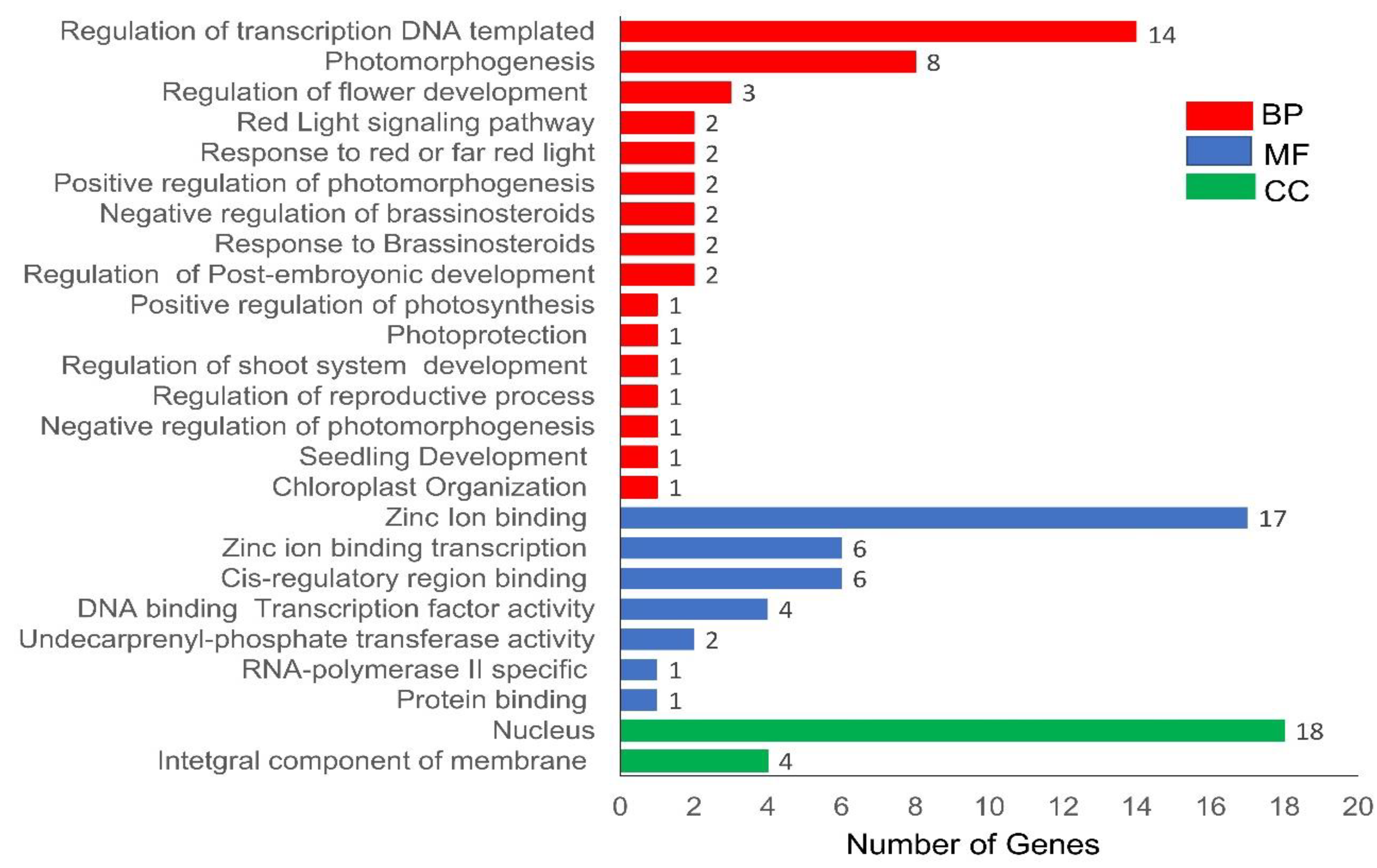 Genes 13 00658 g007
