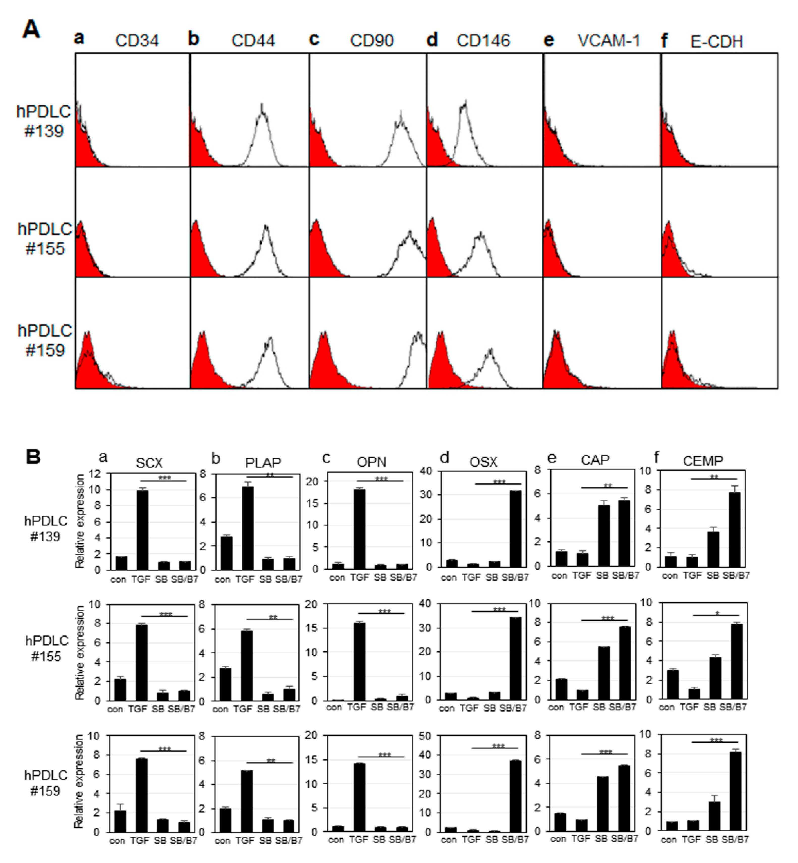 Genes 13 00659 g002 Genes 13 00659 g002