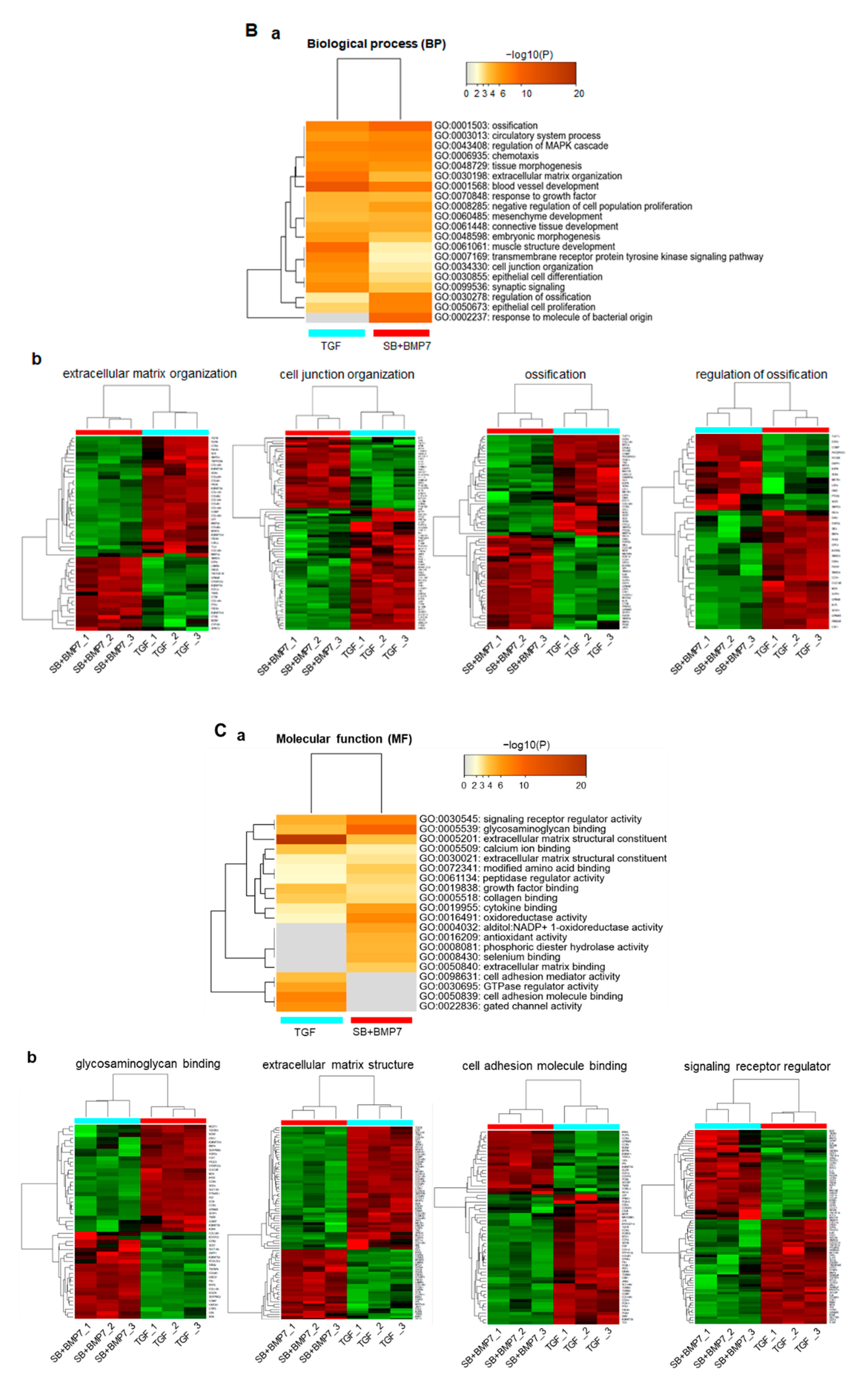 Genes 13 00659 g004b Genes 13 00659 g004b
