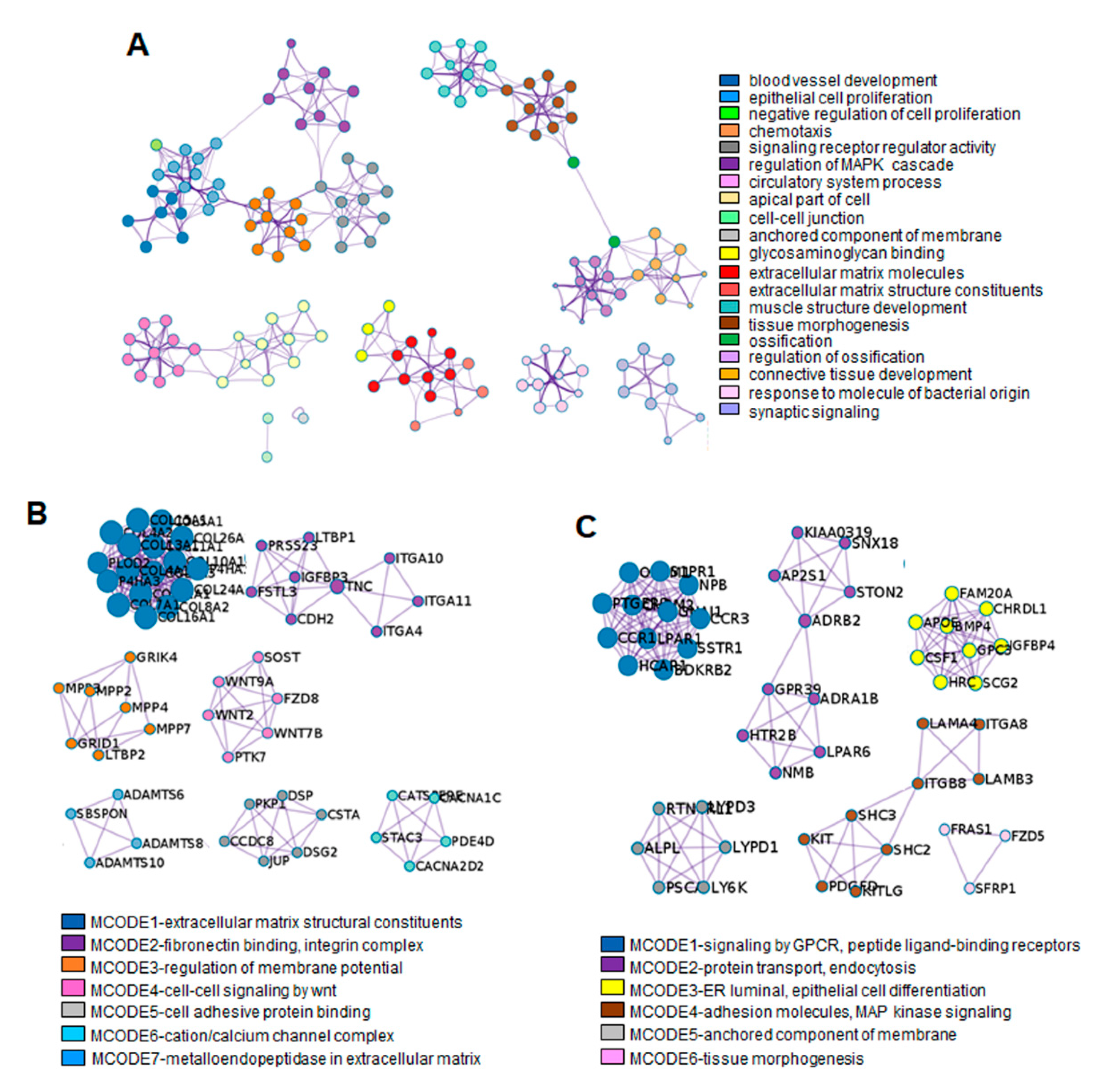 Genes 13 00659 g005 Genes 13 00659 g005