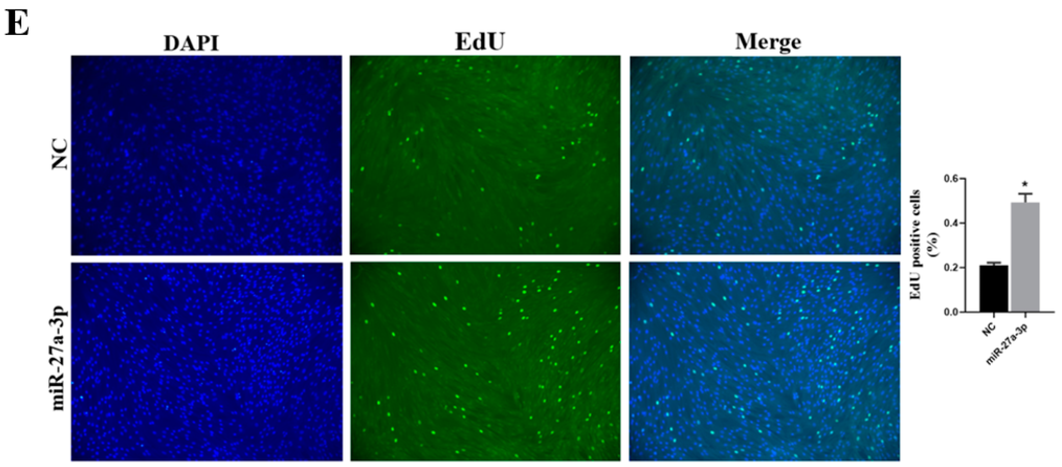 Genes 13 00663 g003b Genes 13 00663 g003b