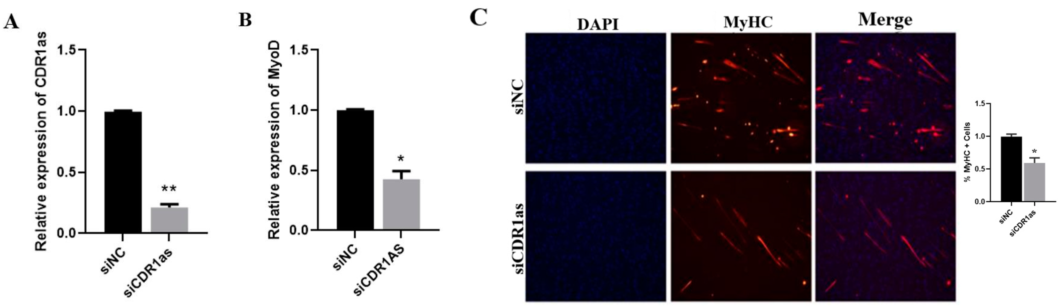 Genes 13 00663 g005a Genes 13 00663 g005a