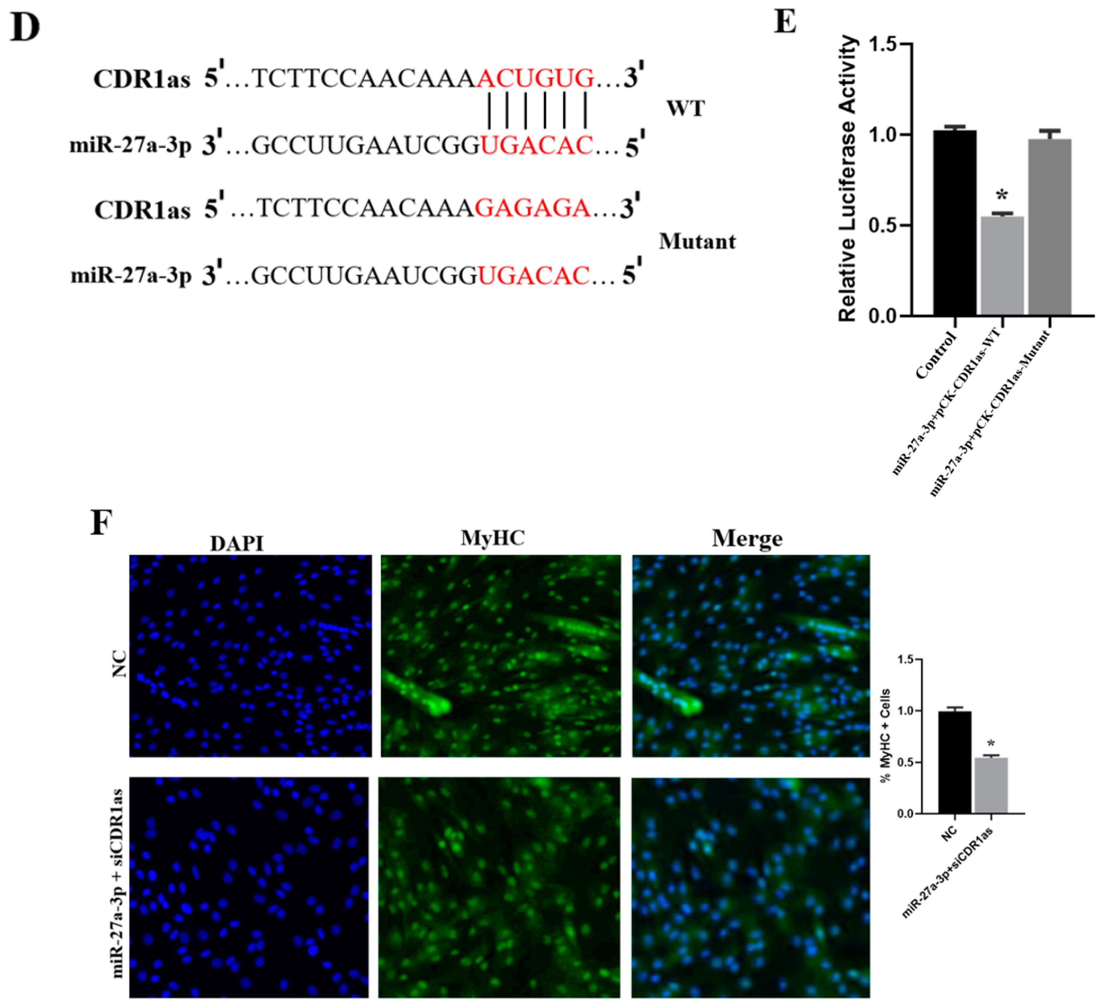 Genes 13 00663 g005b Genes 13 00663 g005b