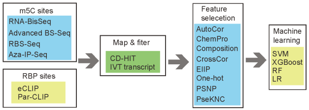 Genes 13 00677 g001