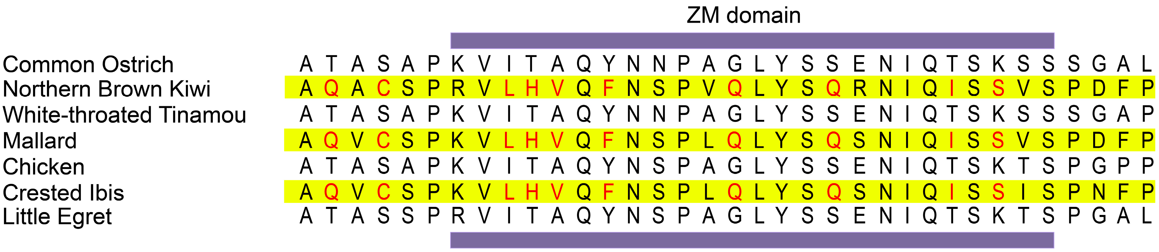 Genes 13 00678 g003 Genes 13 00678 g003