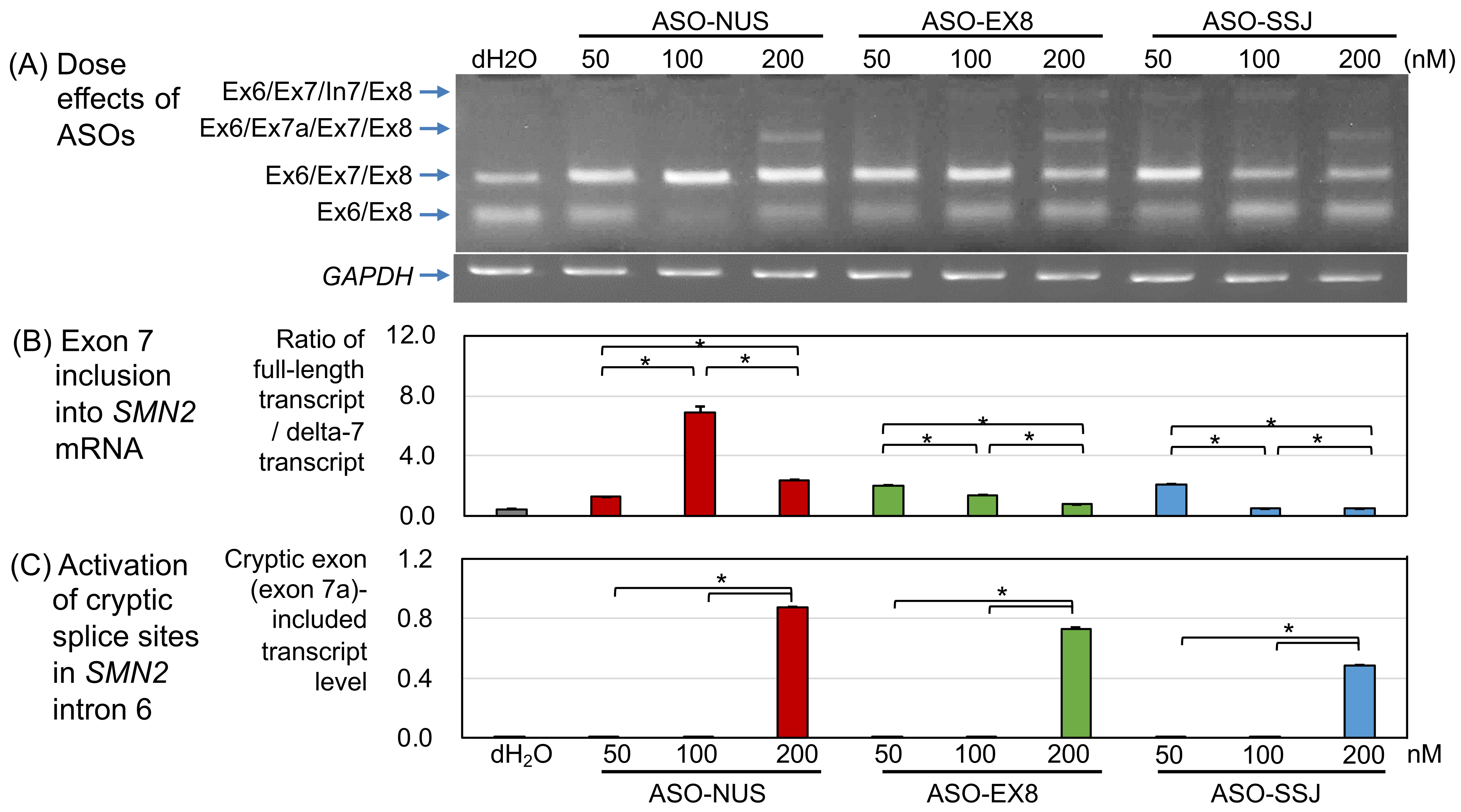 Genes 13 00685 g002 Genes 13 00685 g002