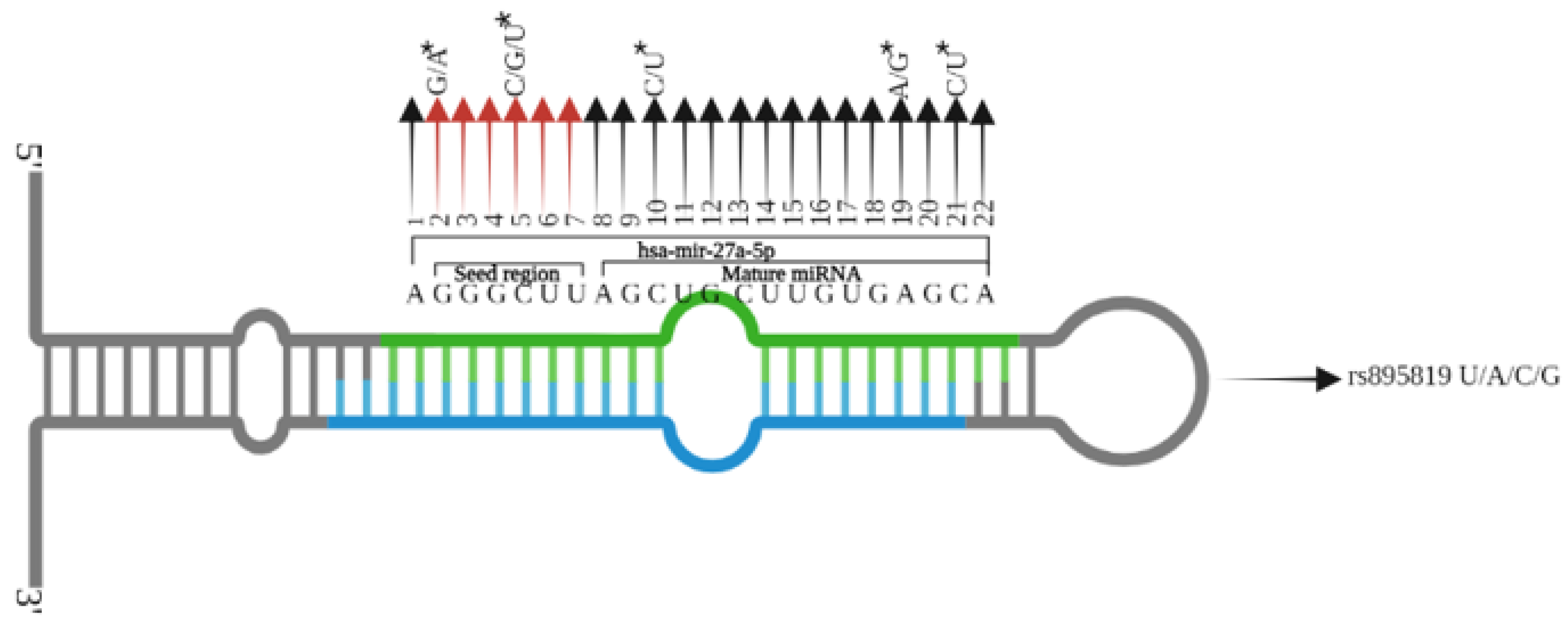 Genes 13 00747 g001 Genes 13 00747 g001