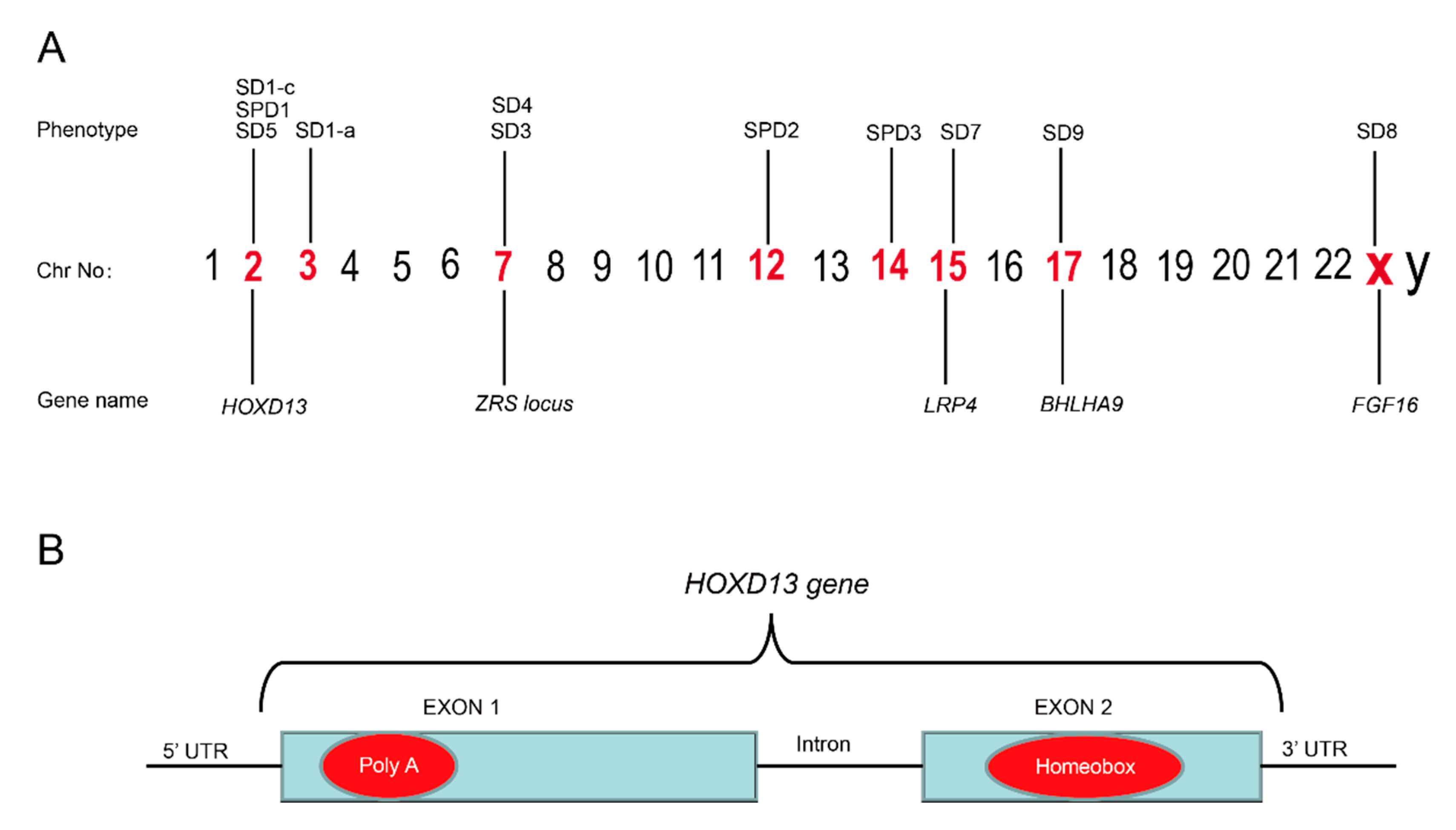 Genes 13 00771 g003 Genes 13 00771 g003