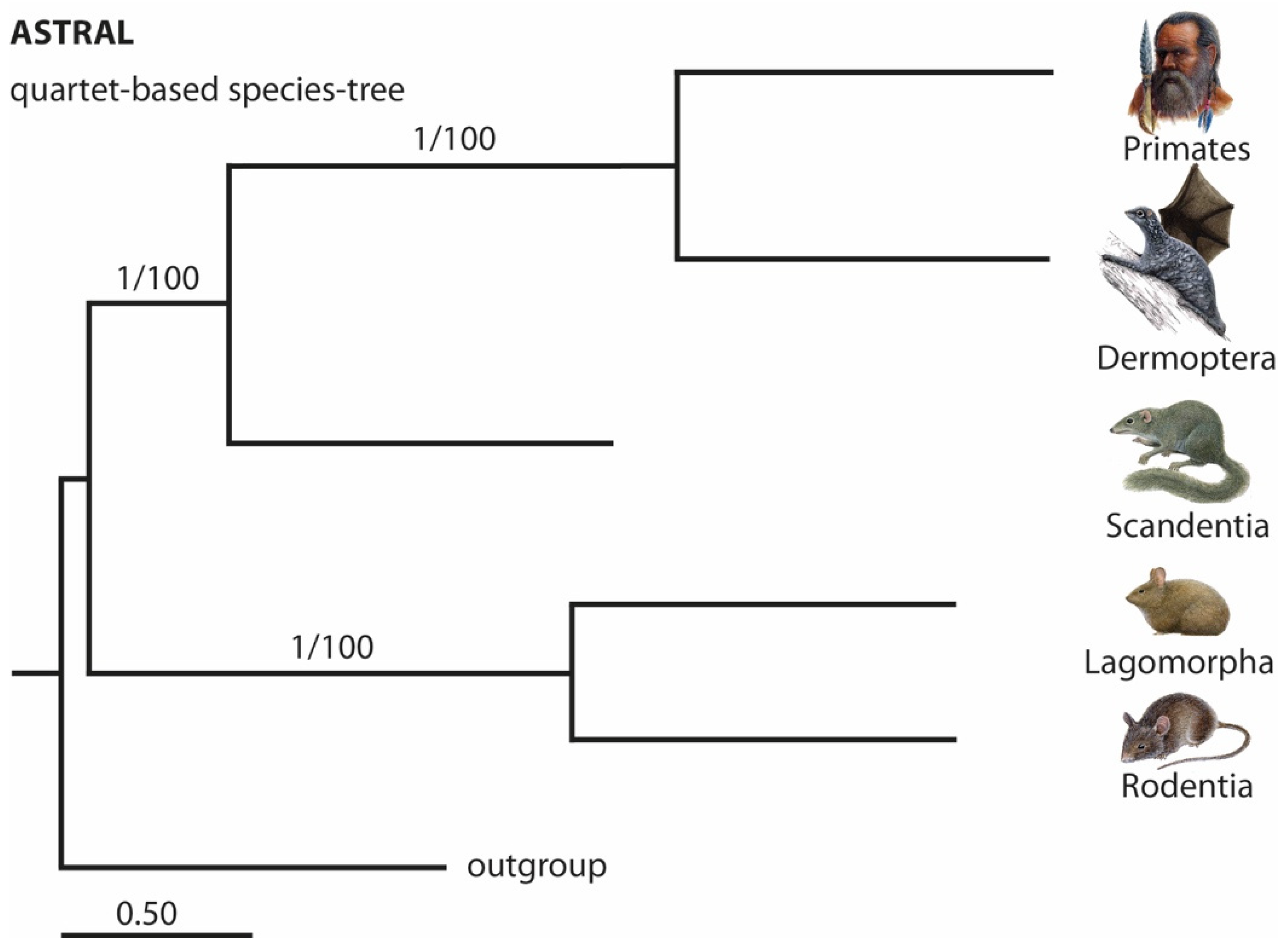 Genes 13 00774 g004 Genes 13 00774 g004