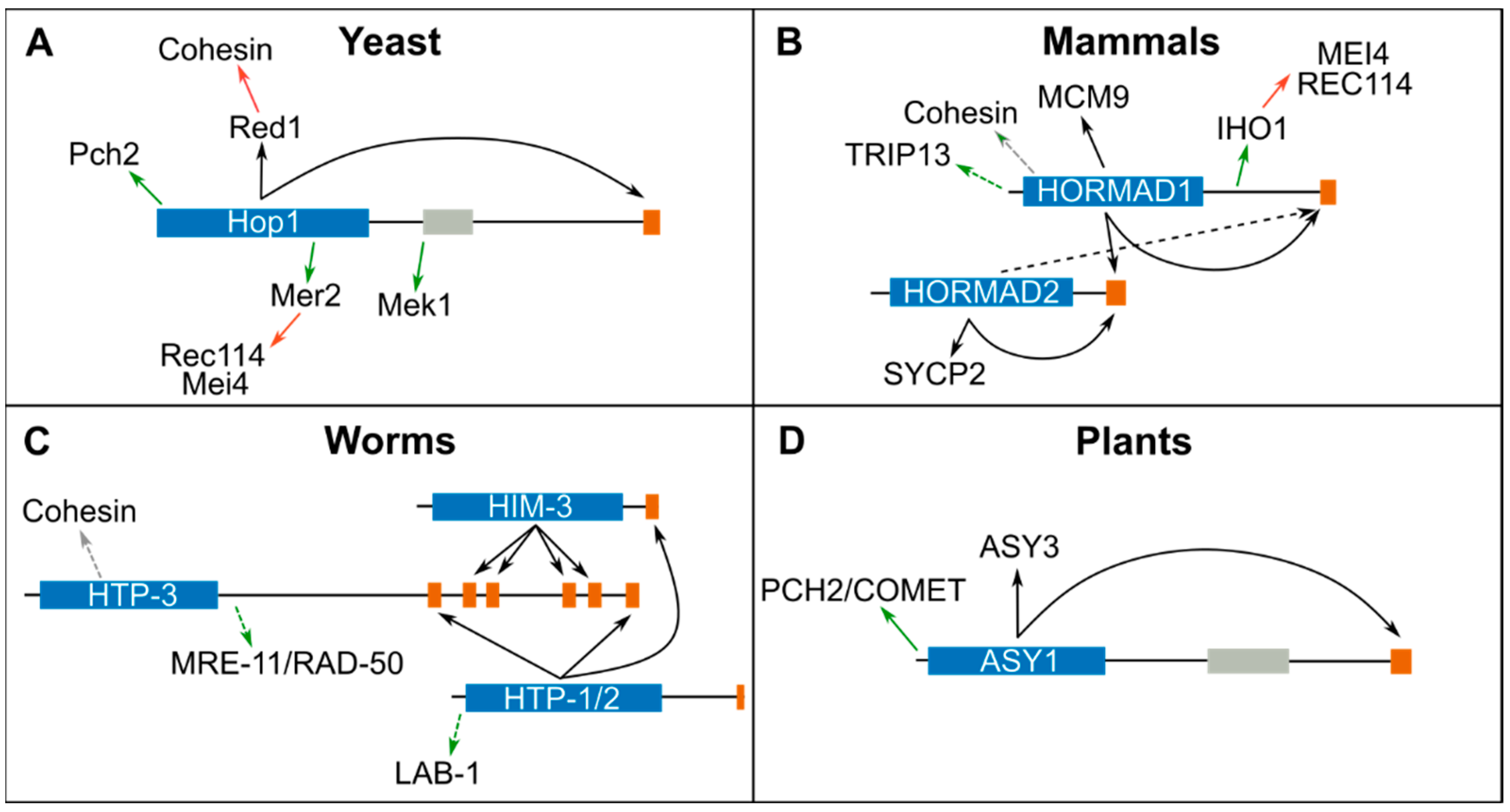 Genes 13 00777 g002