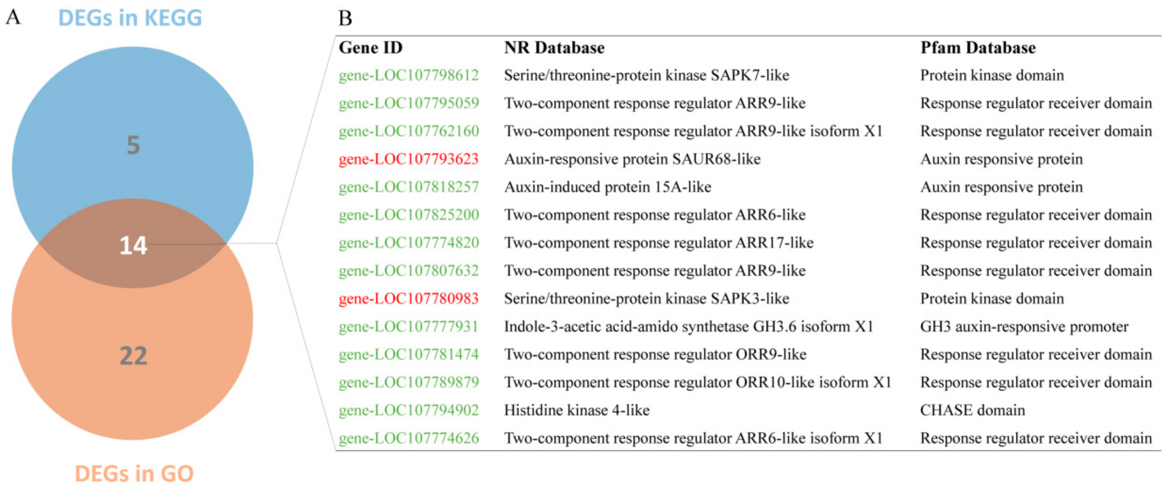 Genes 13 00817 g004