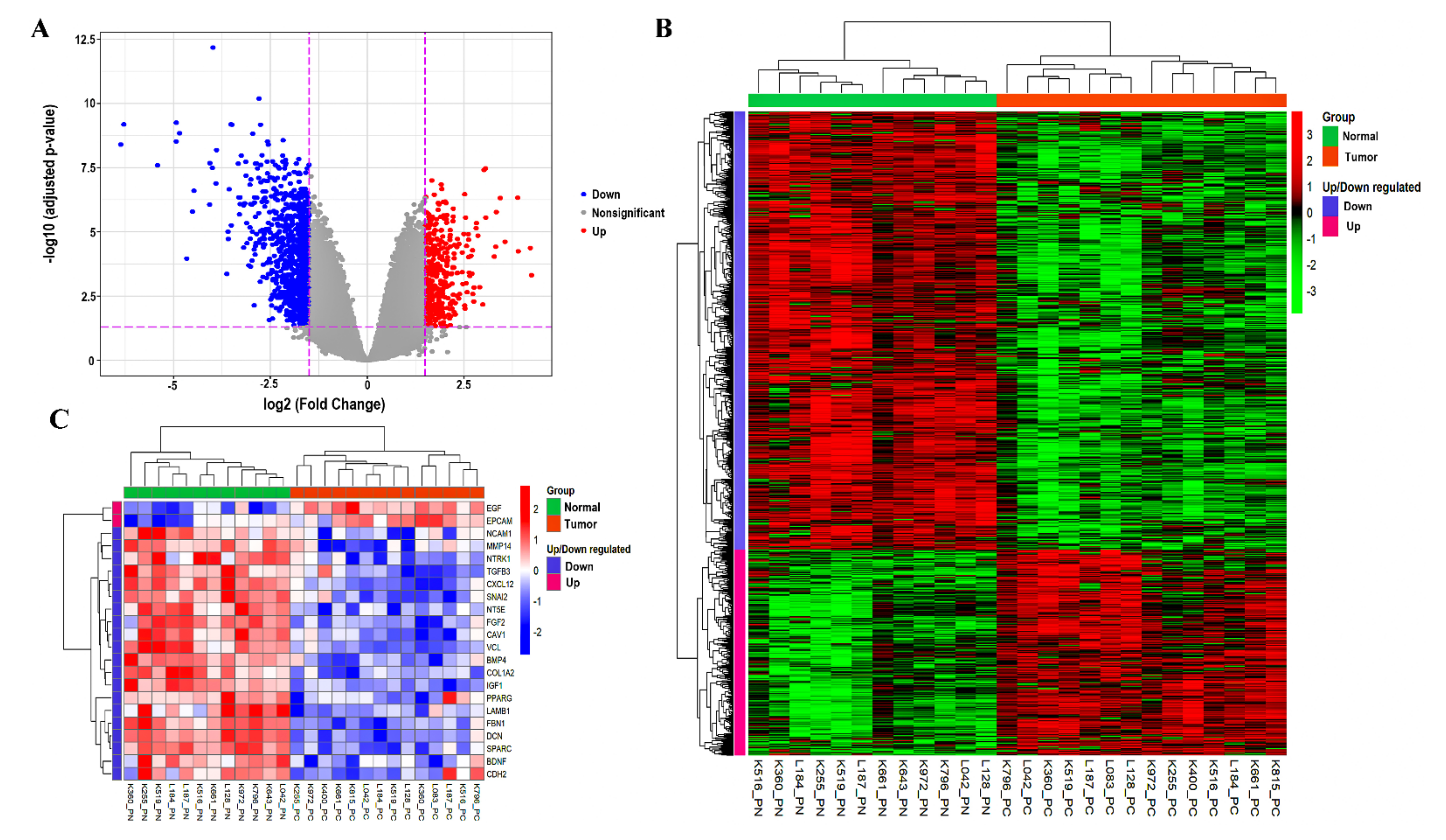 Genes 13 00840 g002