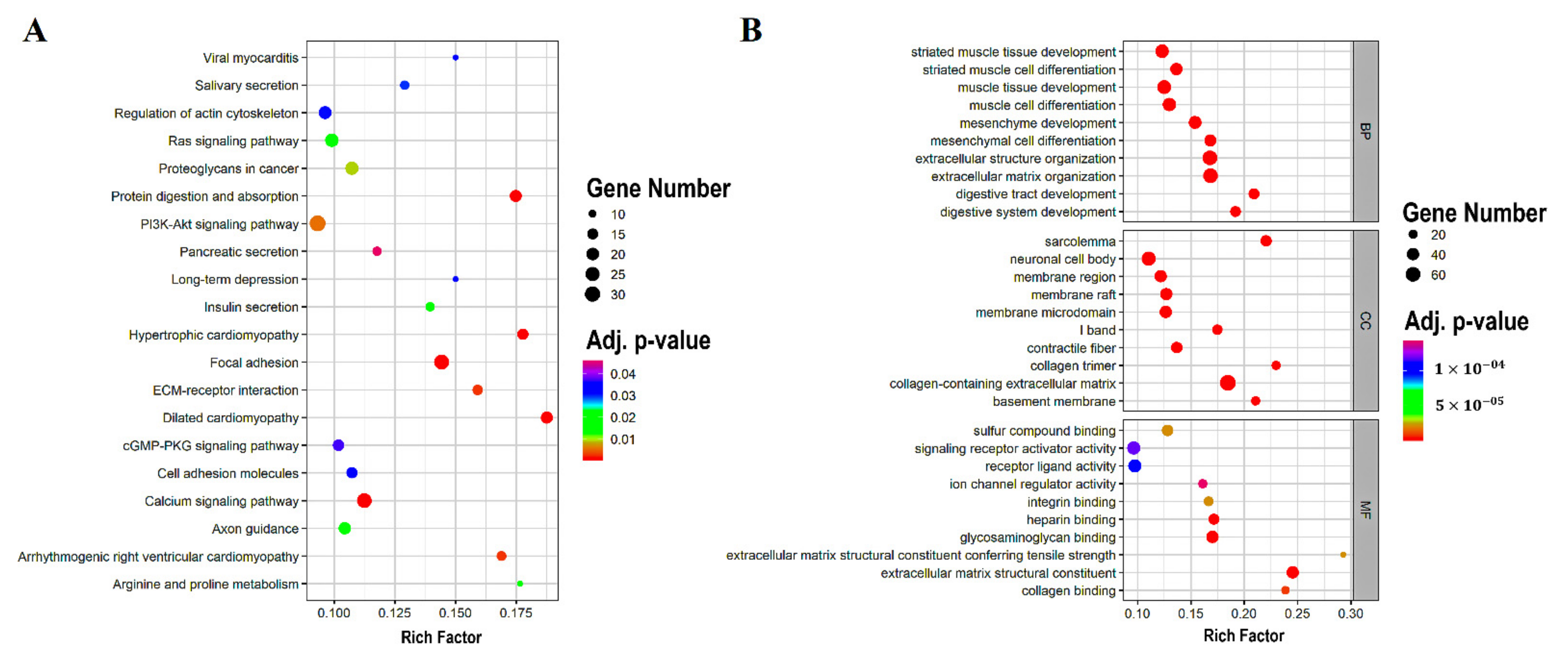 Genes 13 00840 g003