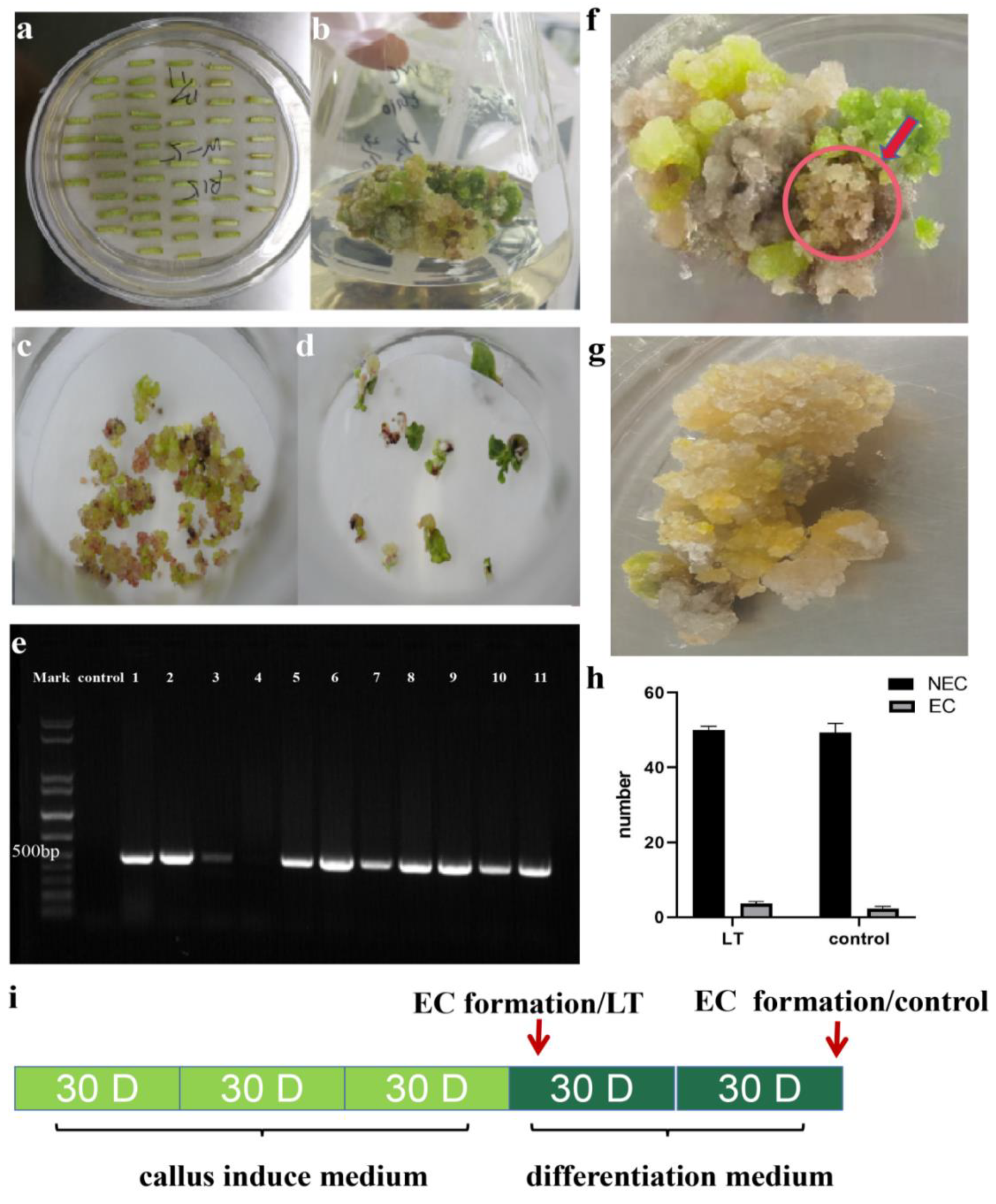 Genes 13 00853 g002