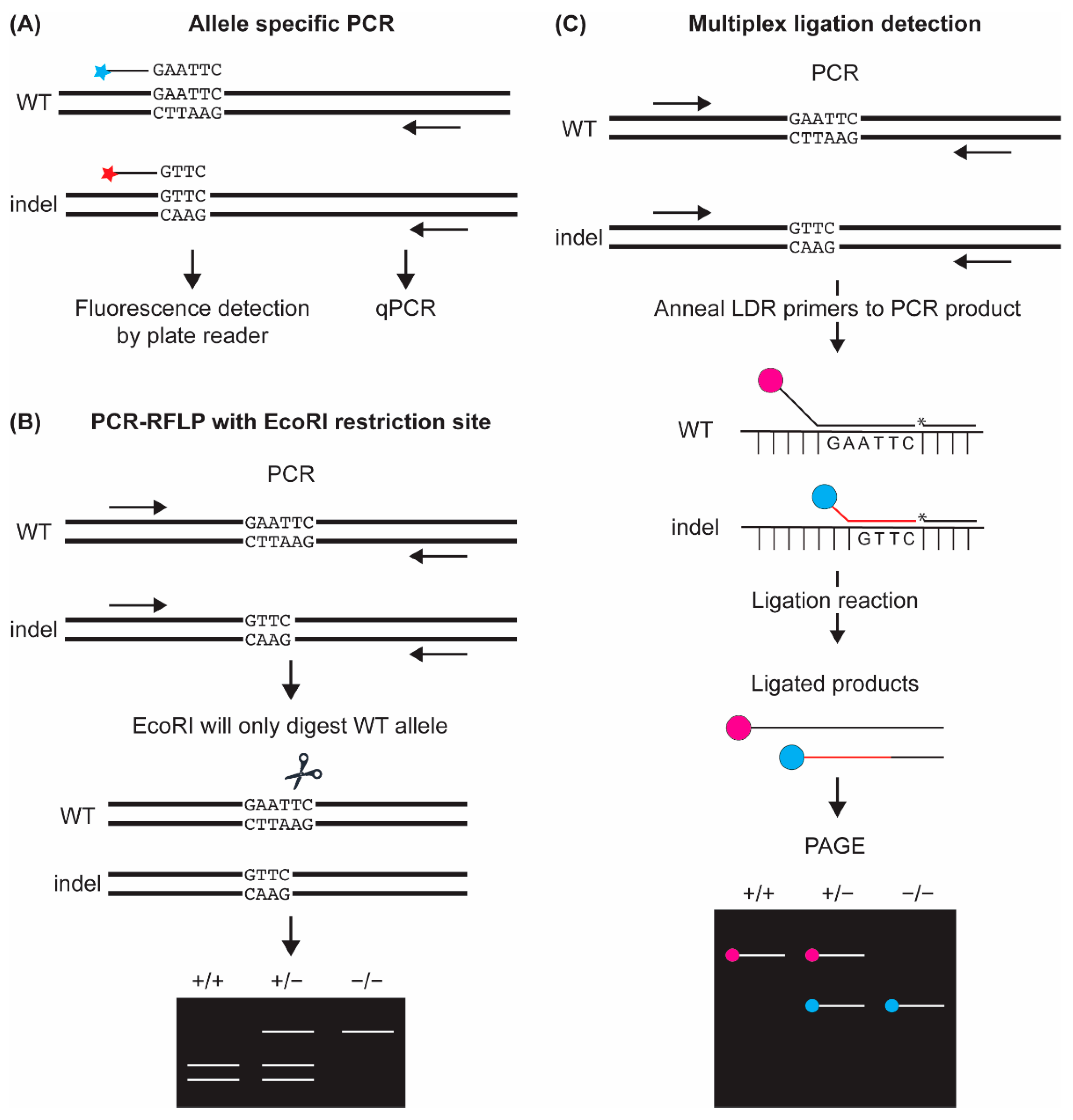 Genes 13 00857 g003
