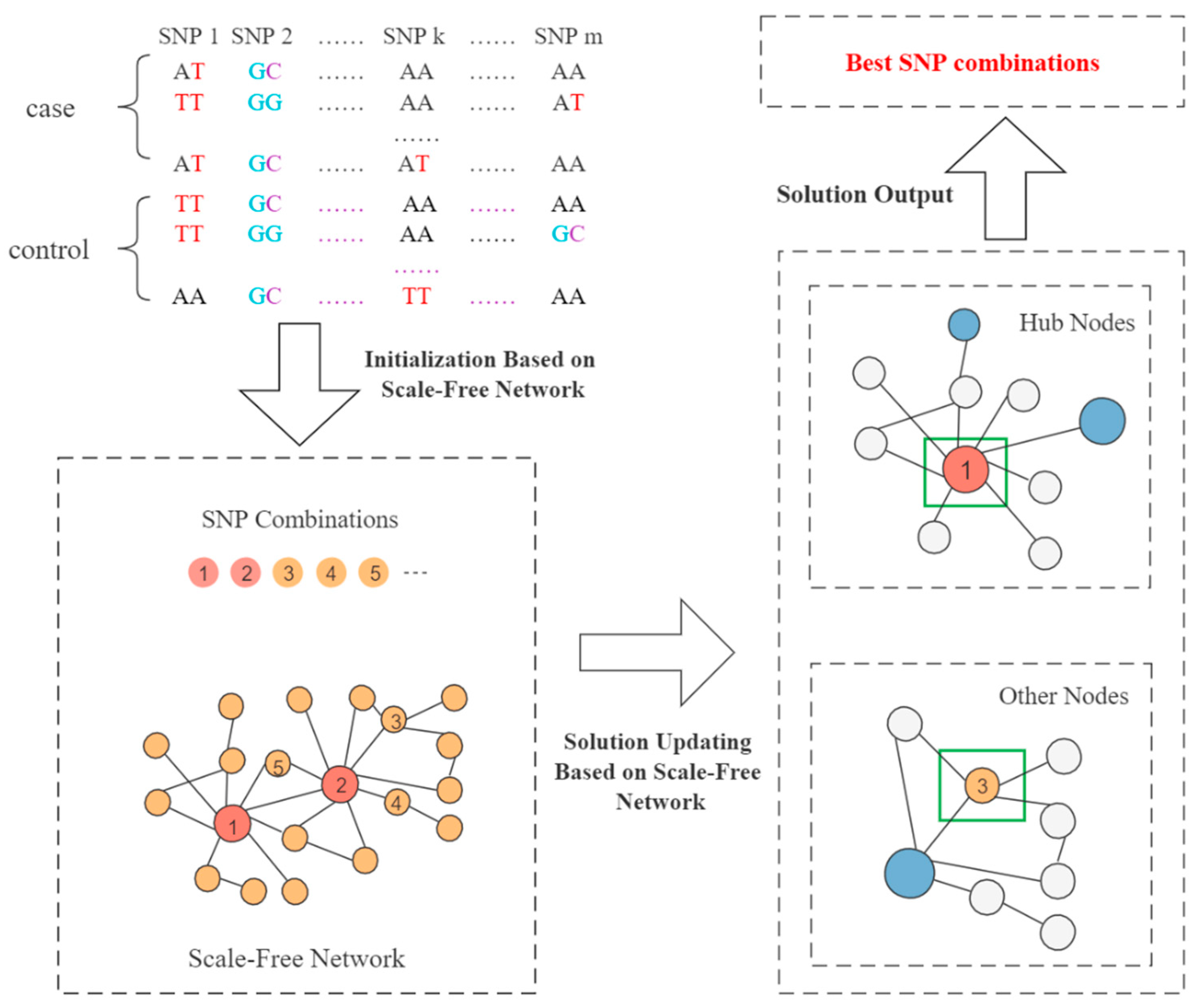 Genes 13 00871 g002 Genes 13 00871 g002
