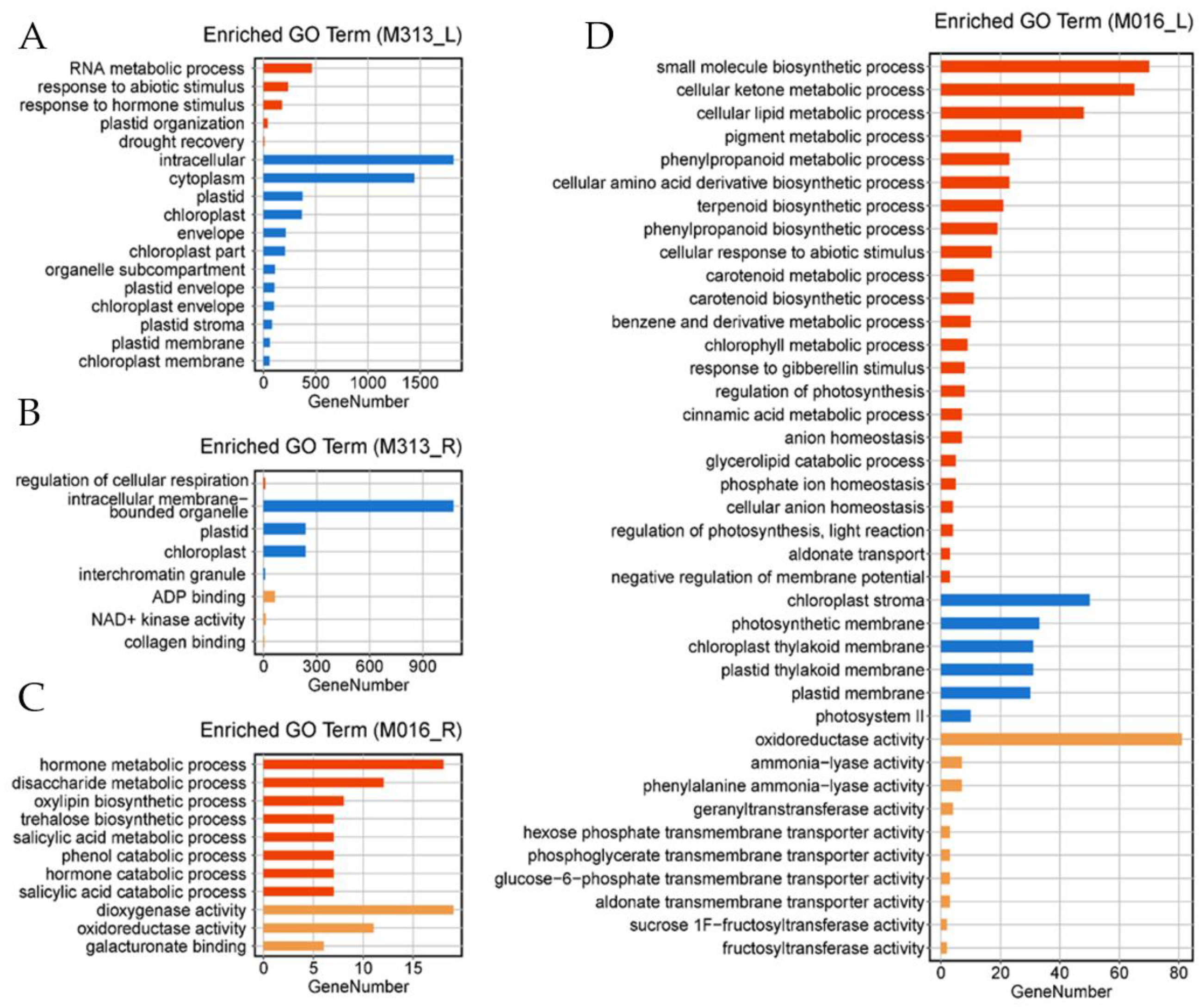 Genes 13 00873 g003