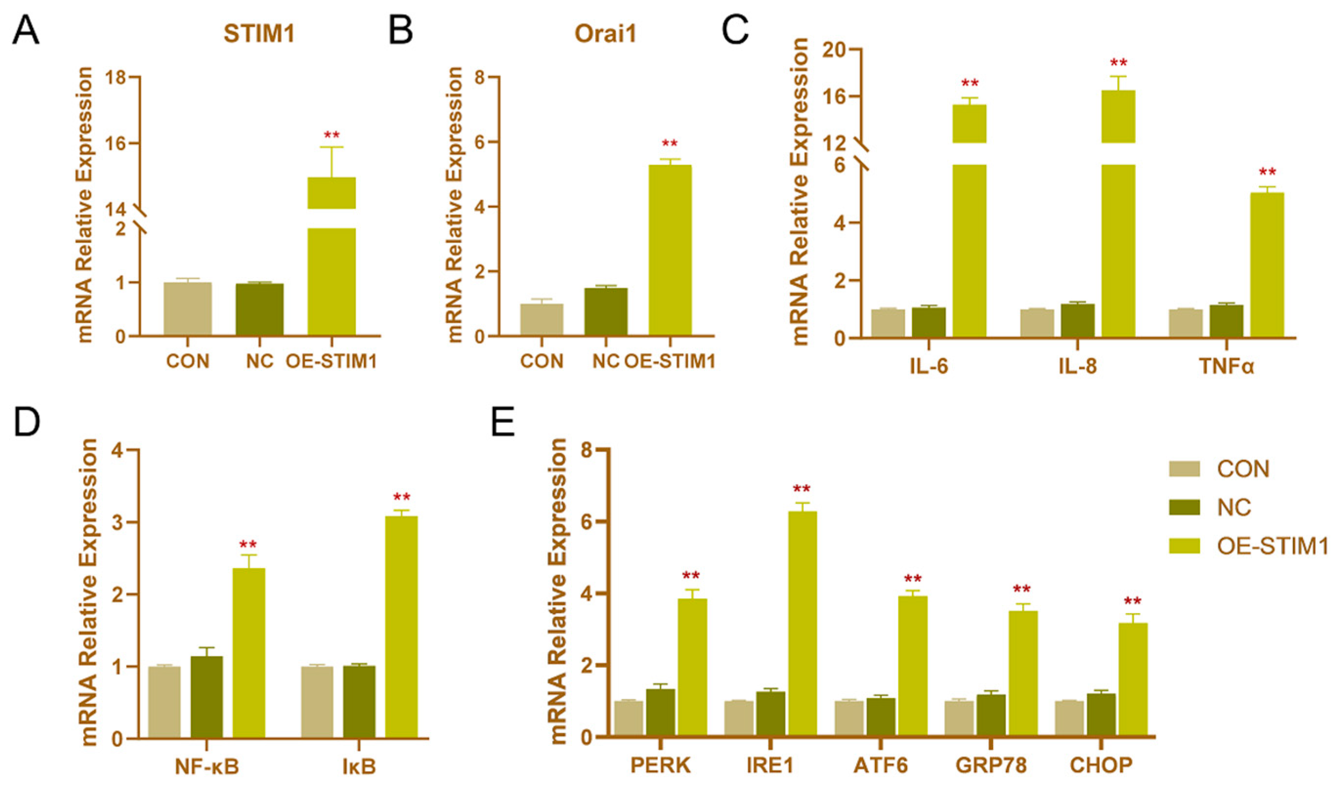Genes 13 00874 g003