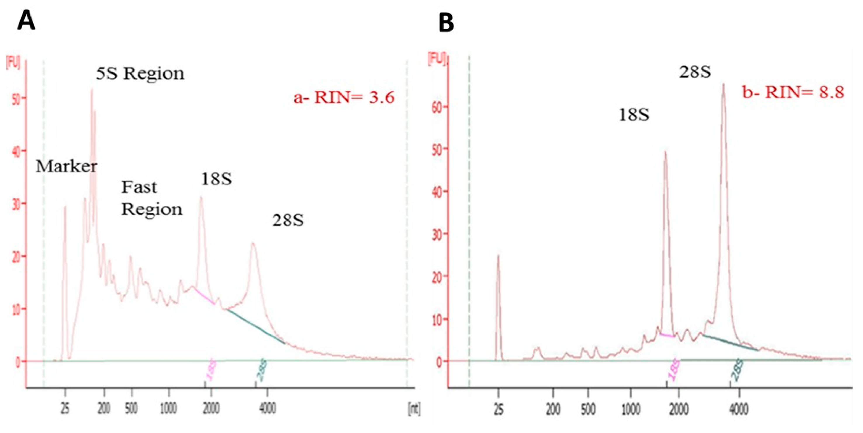 Genes 13 00881 g004
