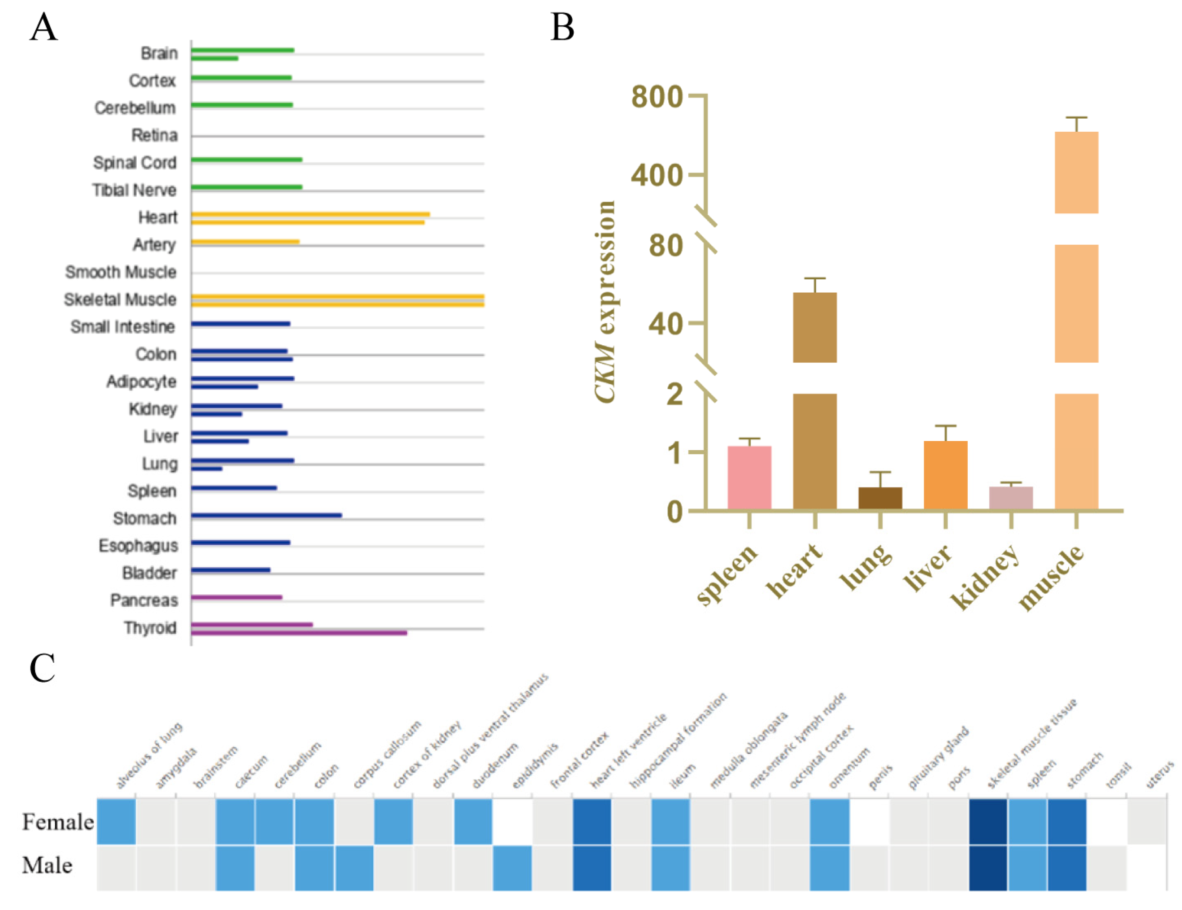 Genes 13 00921 g001