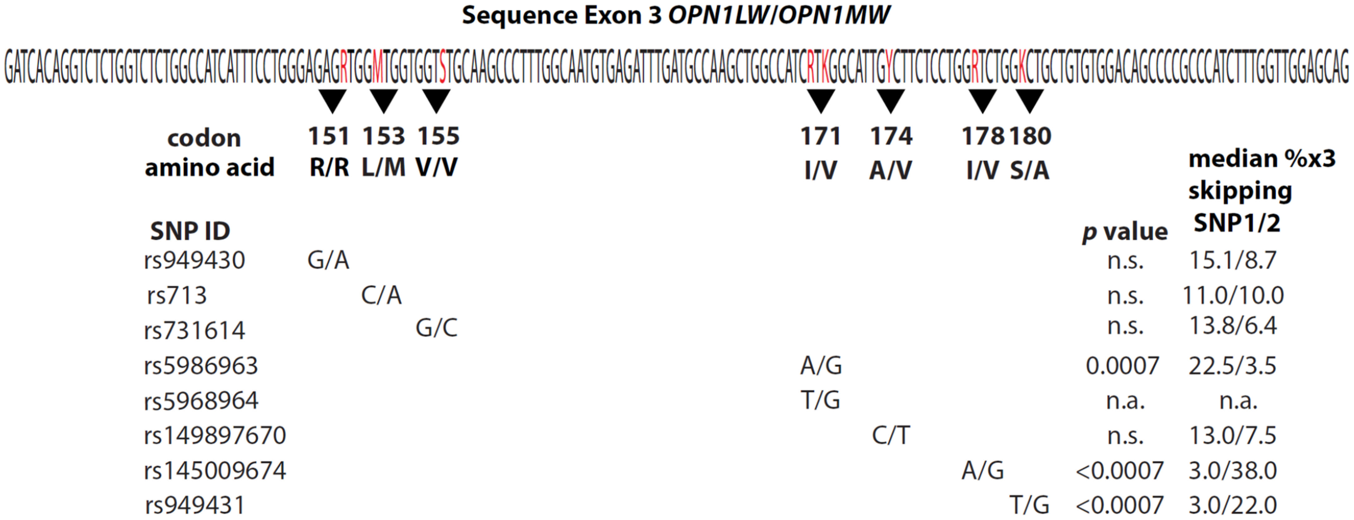 Genes 13 00942 g001 Genes 13 00942 g001