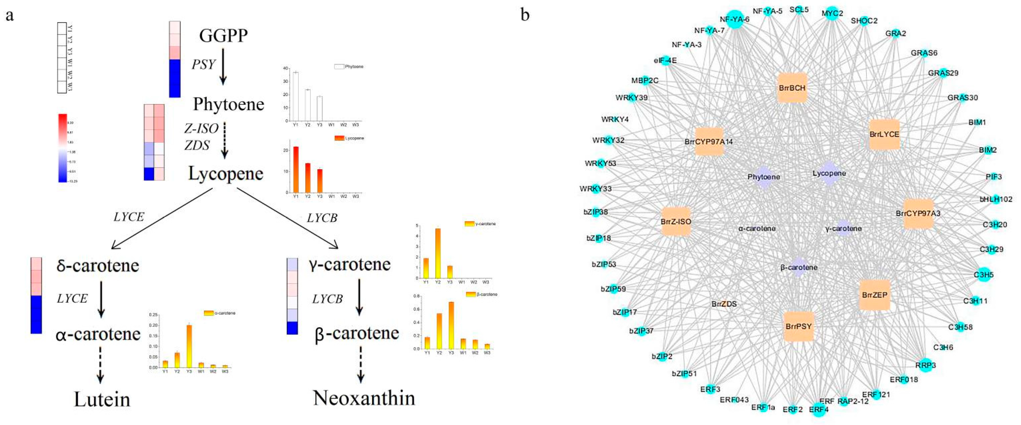 Genes 13 00953 g005