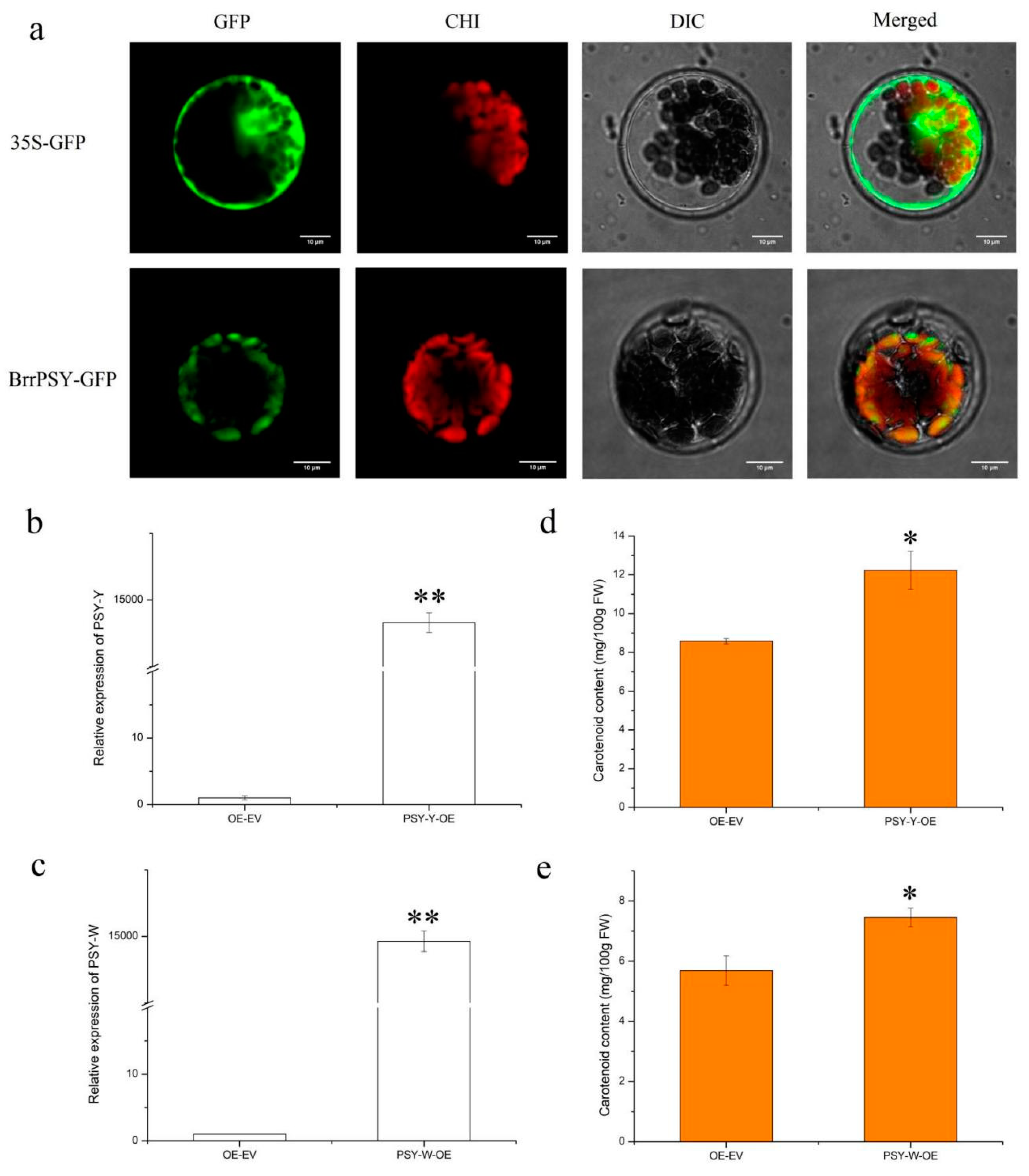 Genes 13 00953 g007