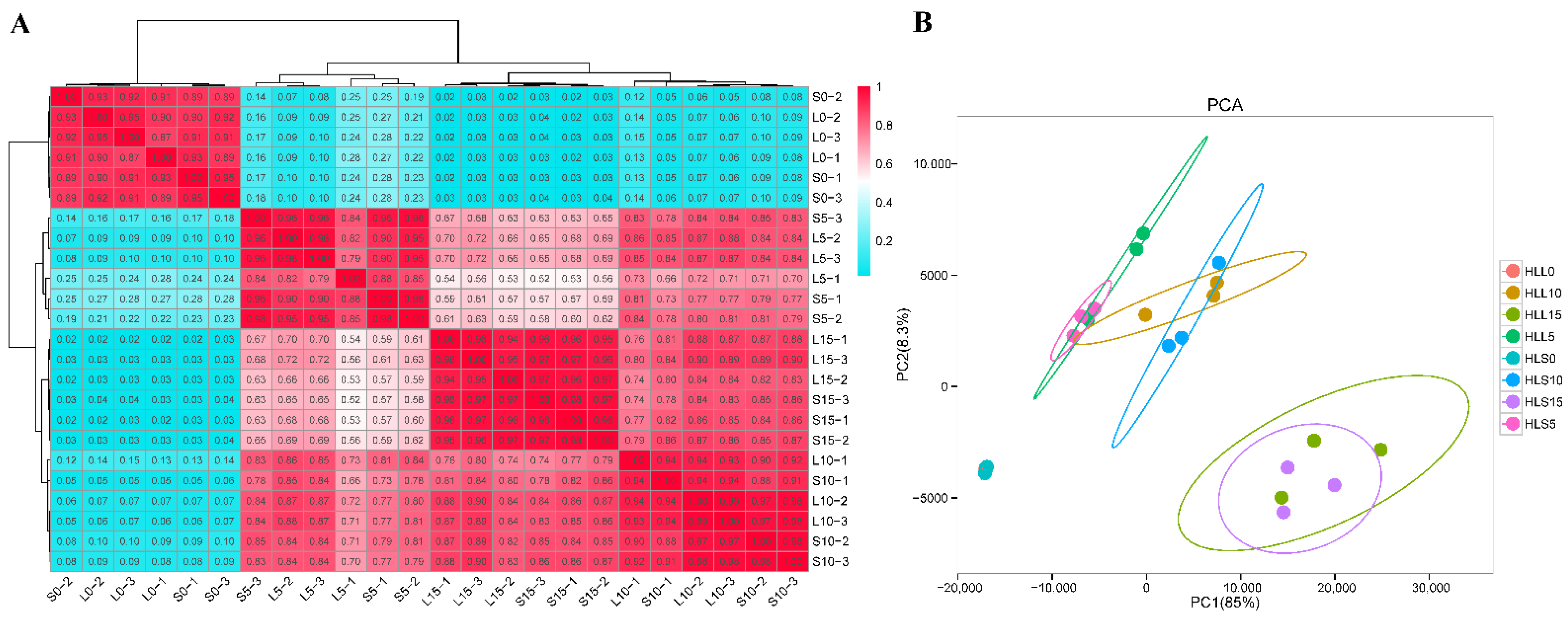 Genes 13 00954 g001