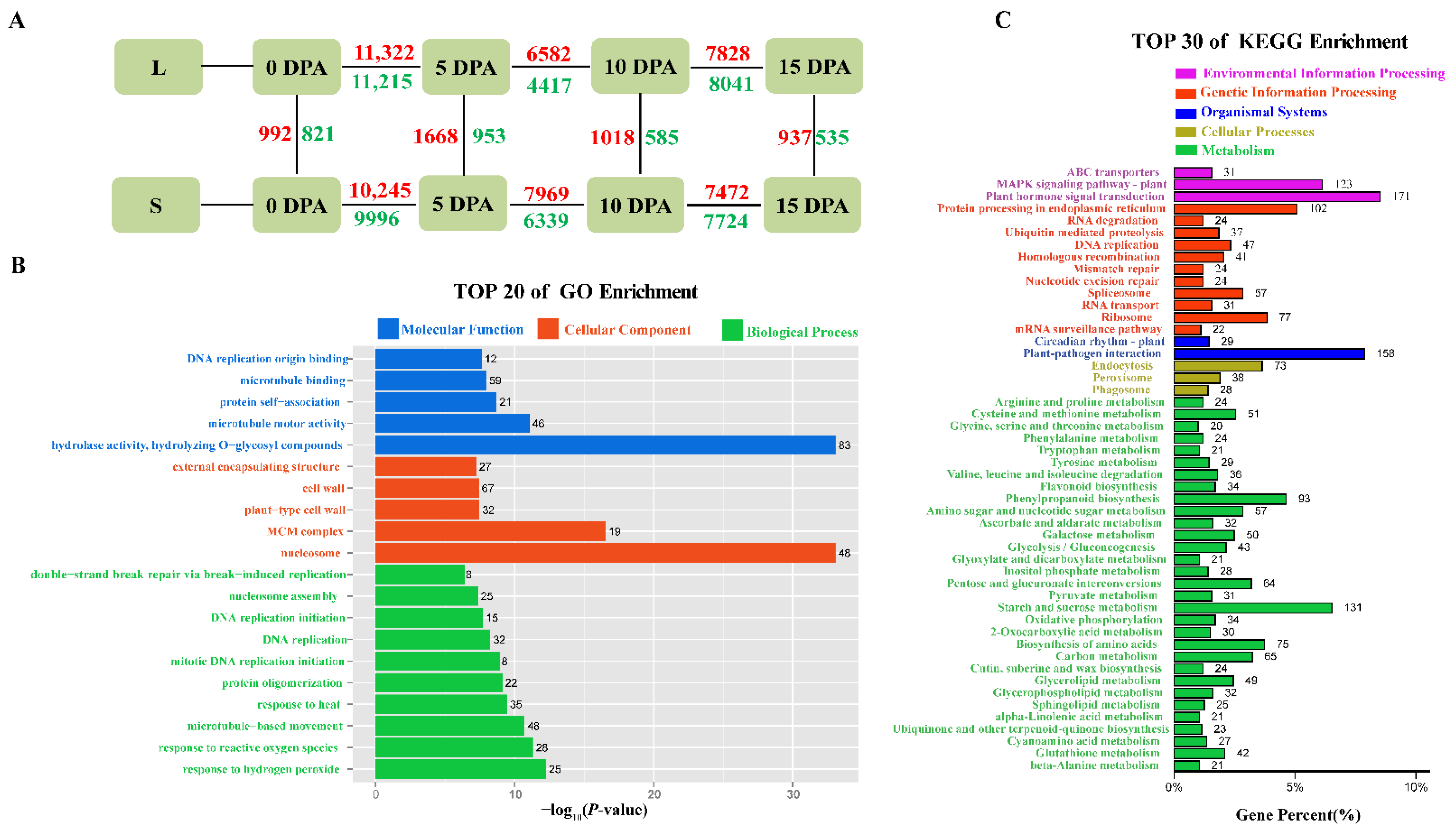 Genes 13 00954 g003