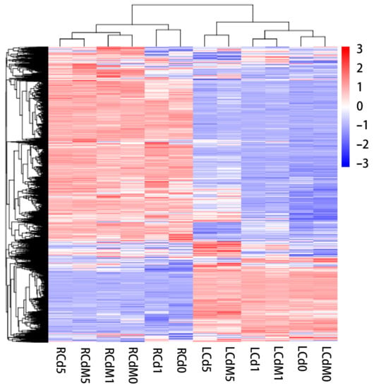 https://www.mdpi.com/genes/genes-13-00955/article_deploy/html/images/genes-13-00955-g003-550.jpg