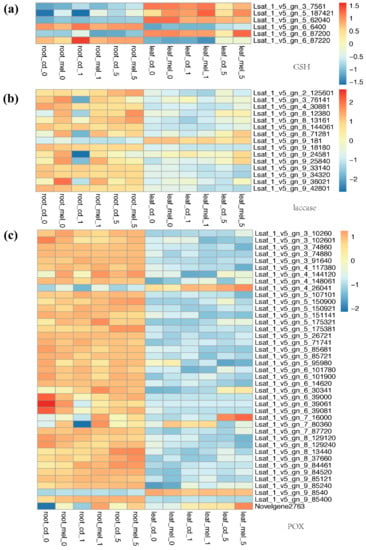 https://www.mdpi.com/genes/genes-13-00955/article_deploy/html/images/genes-13-00955-g005-550.jpg