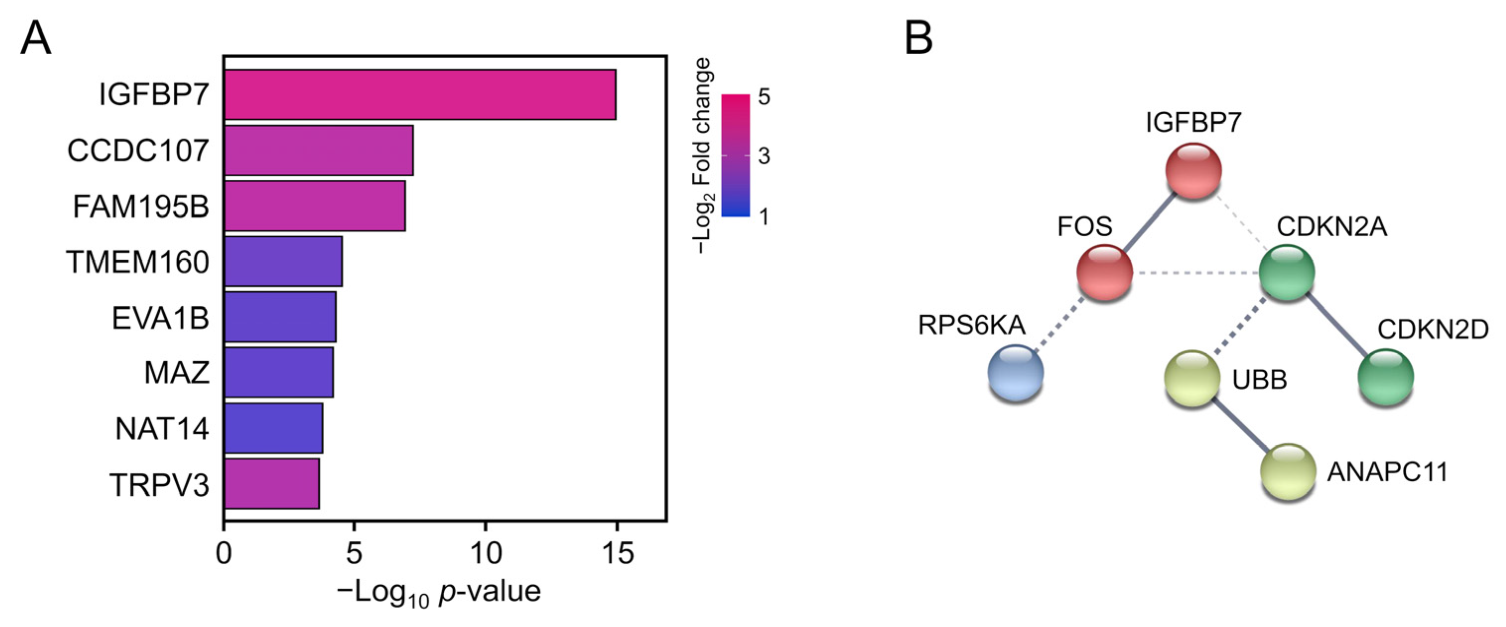 Genes 13 00974 g006
