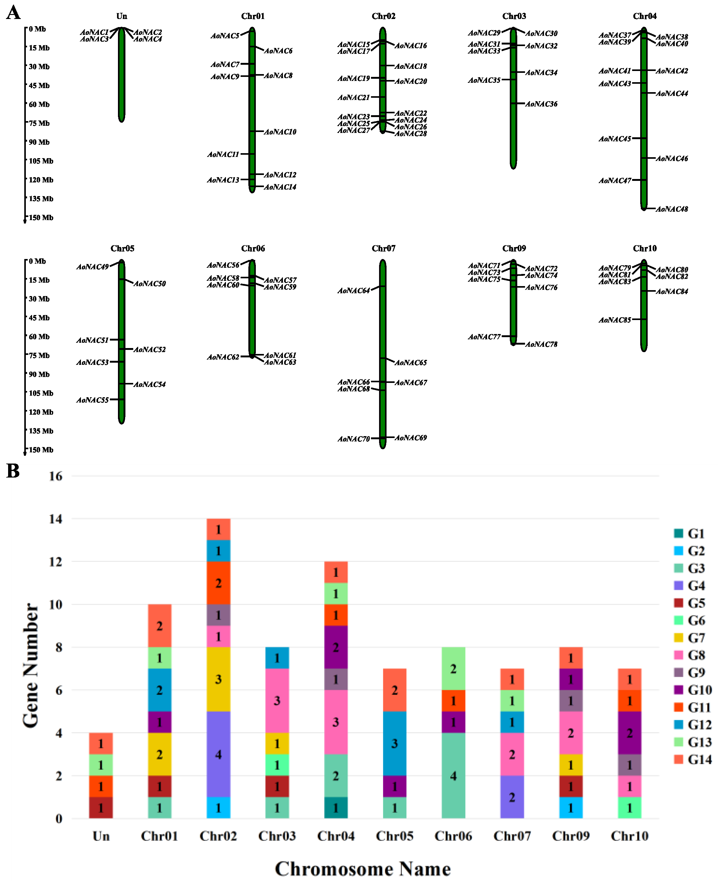 Genes 13 00976 g003