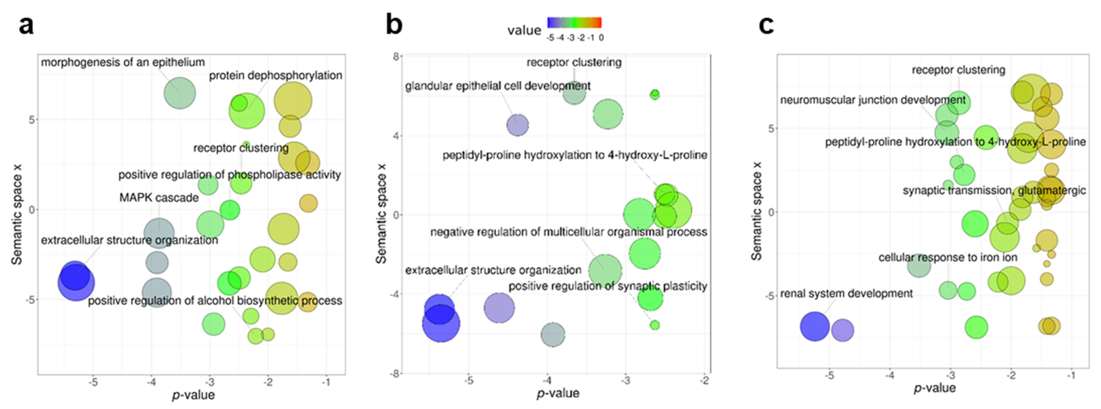 Genes 13 00987 g005