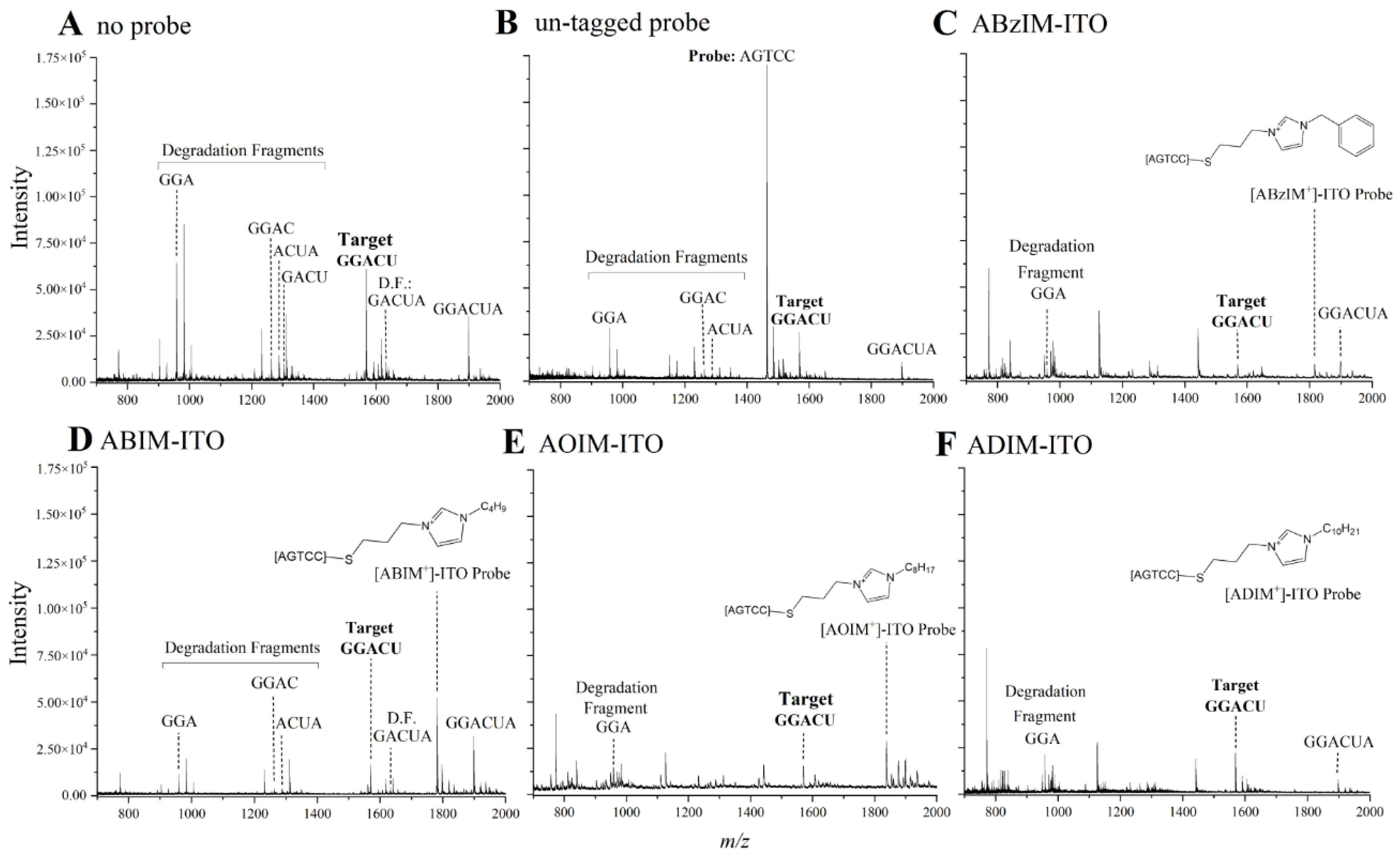 Genes 13 01008 g002 Genes 13 01008 g002