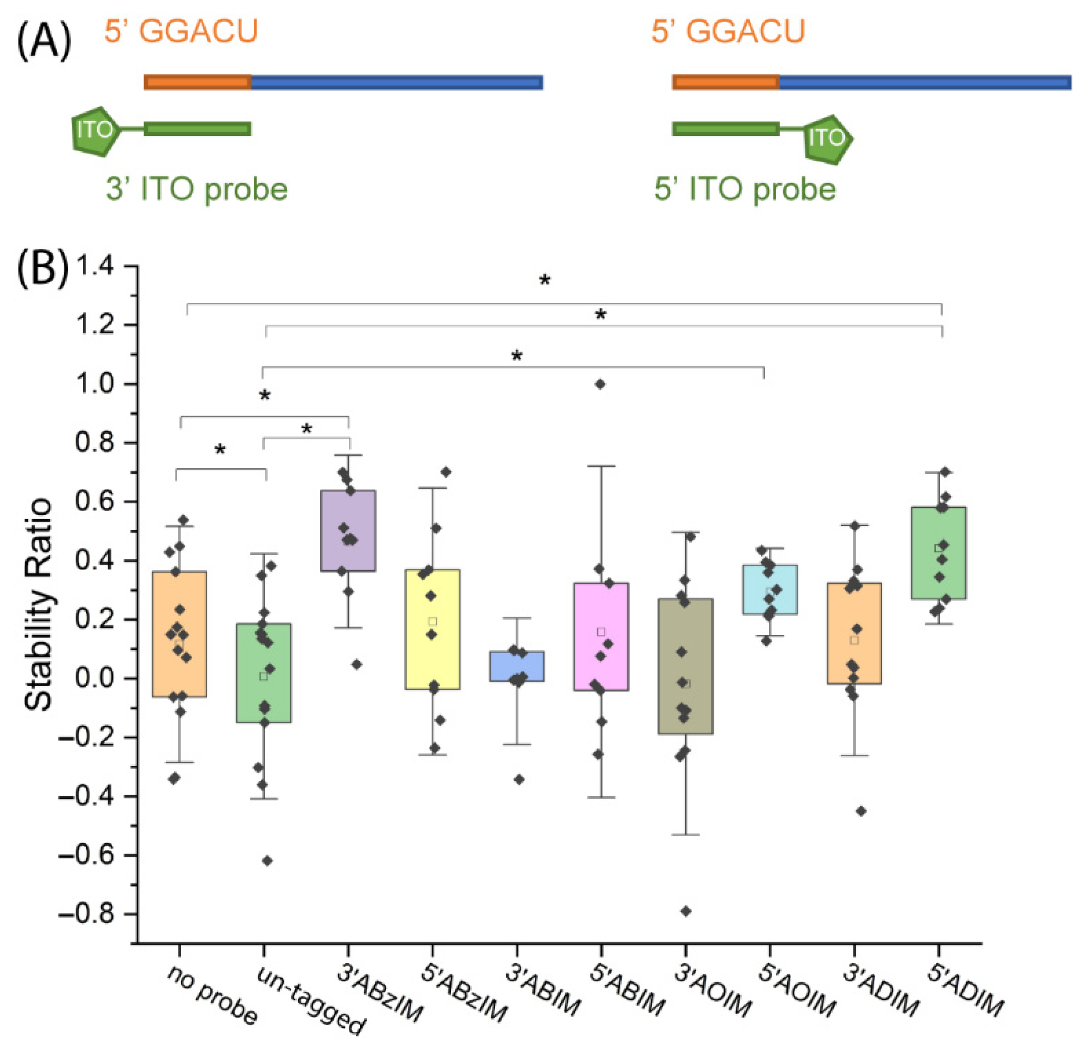Genes 13 01008 g005 Genes 13 01008 g005