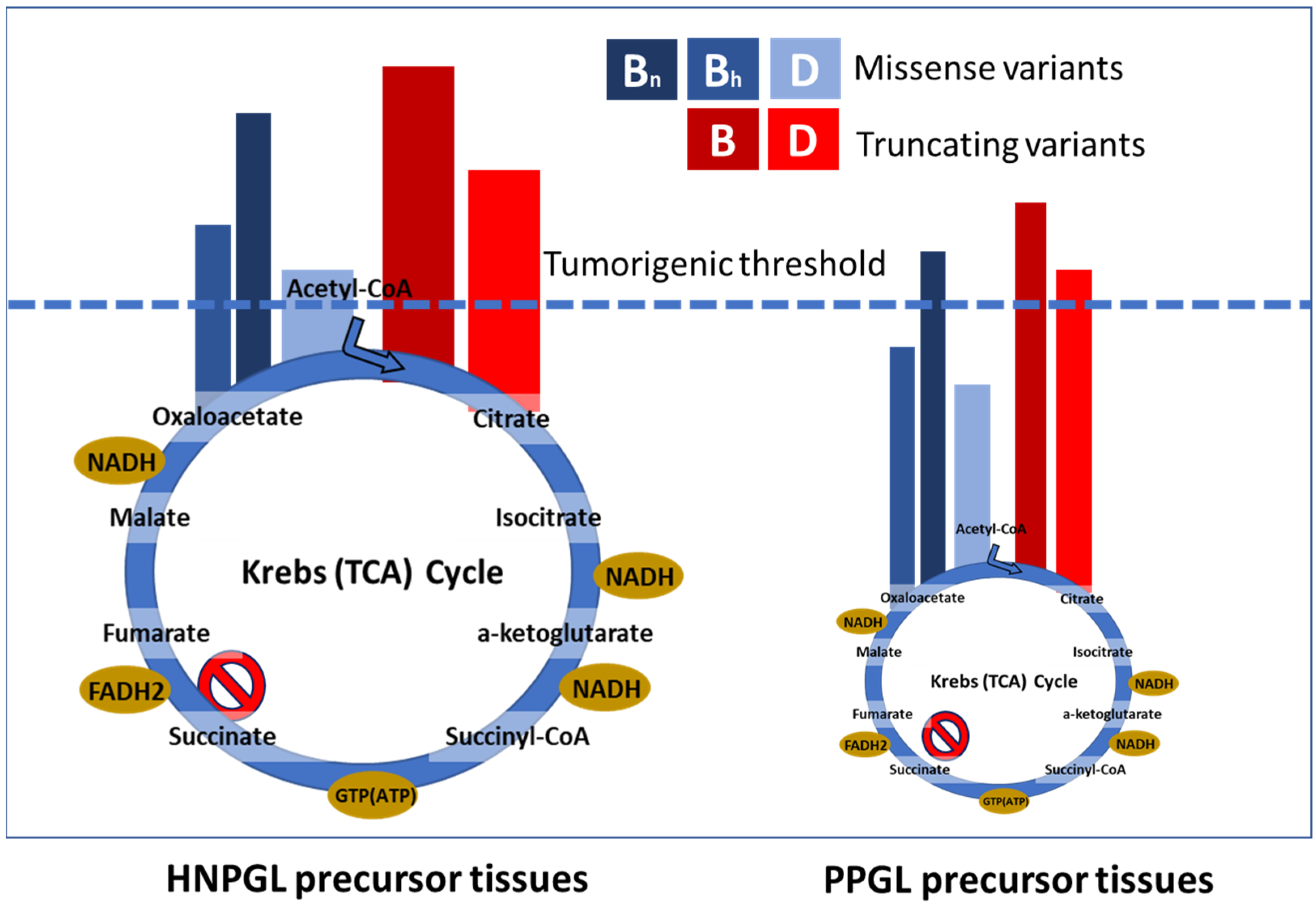 Genes 13 01025 g005