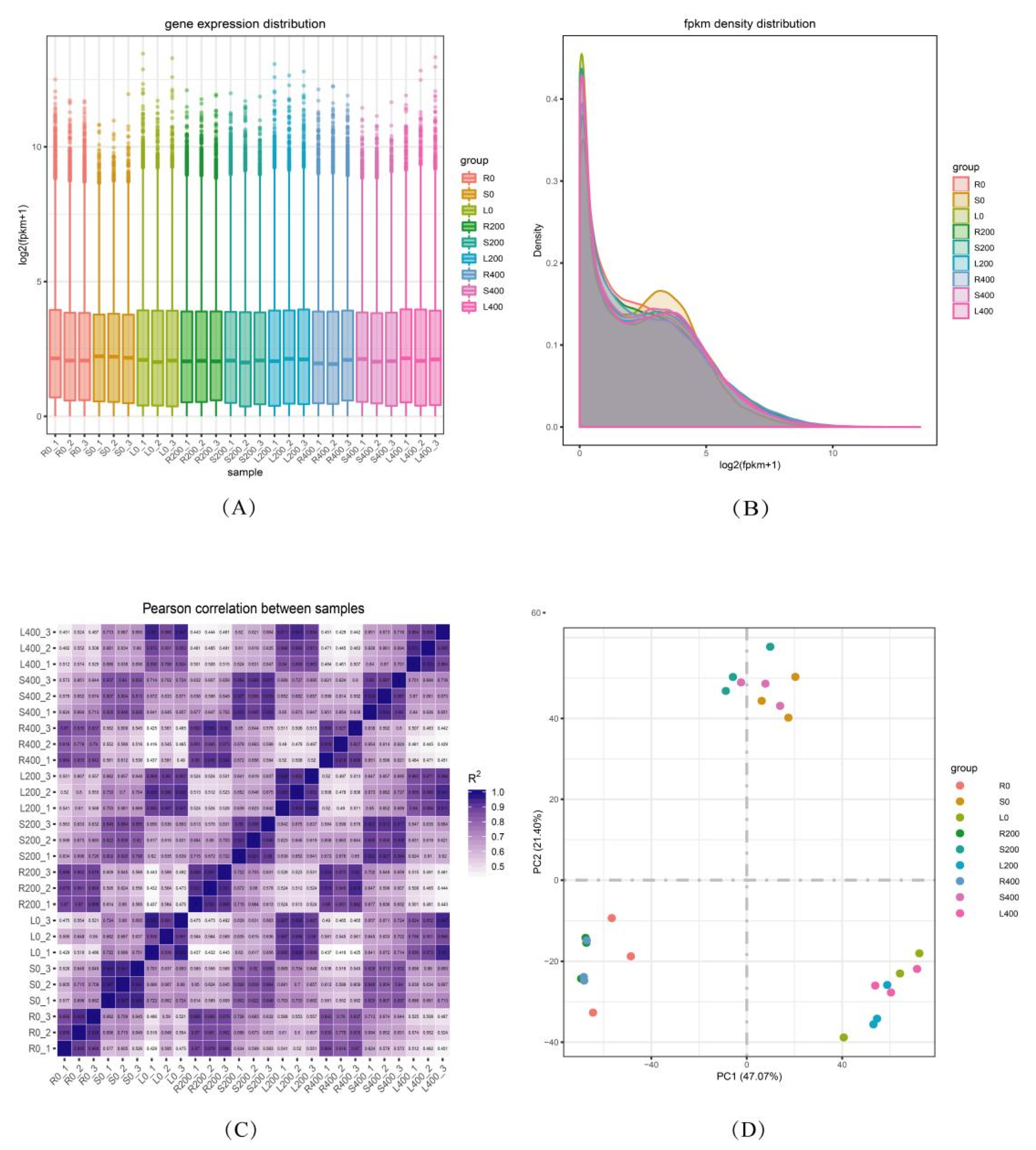 Genes, Free Full-Text