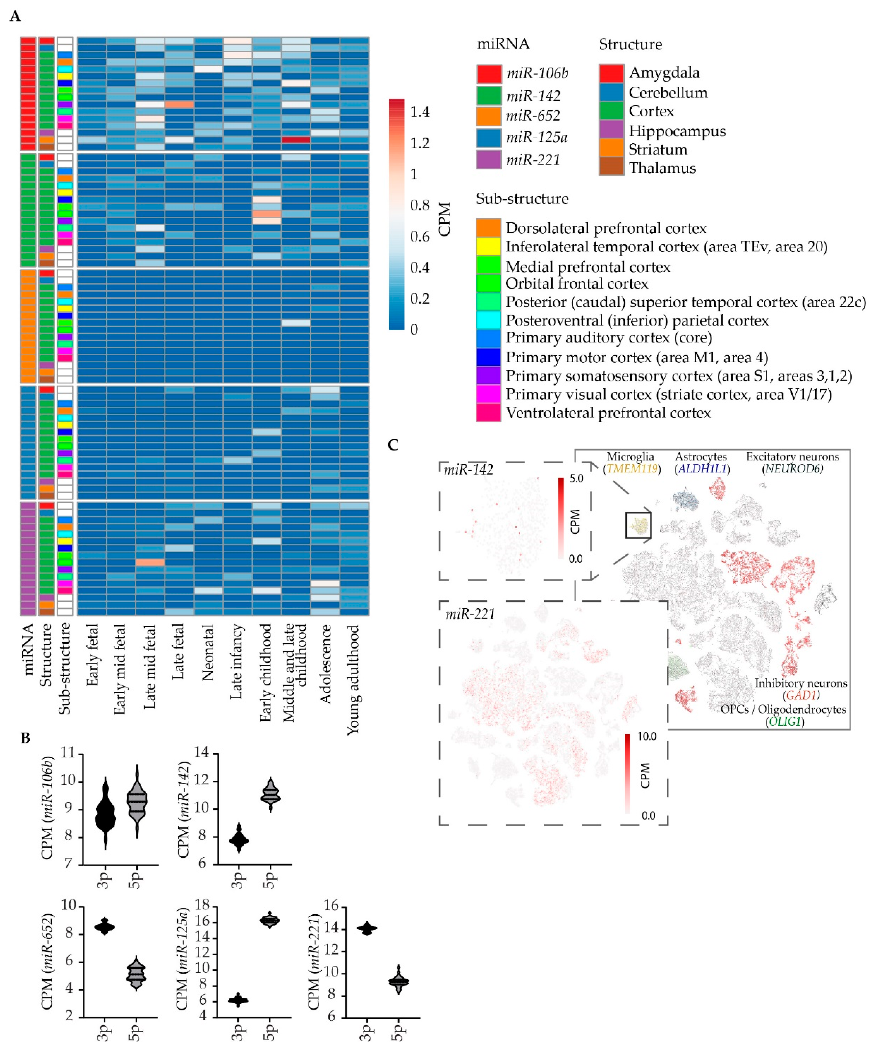 Genes 13 01038 g003