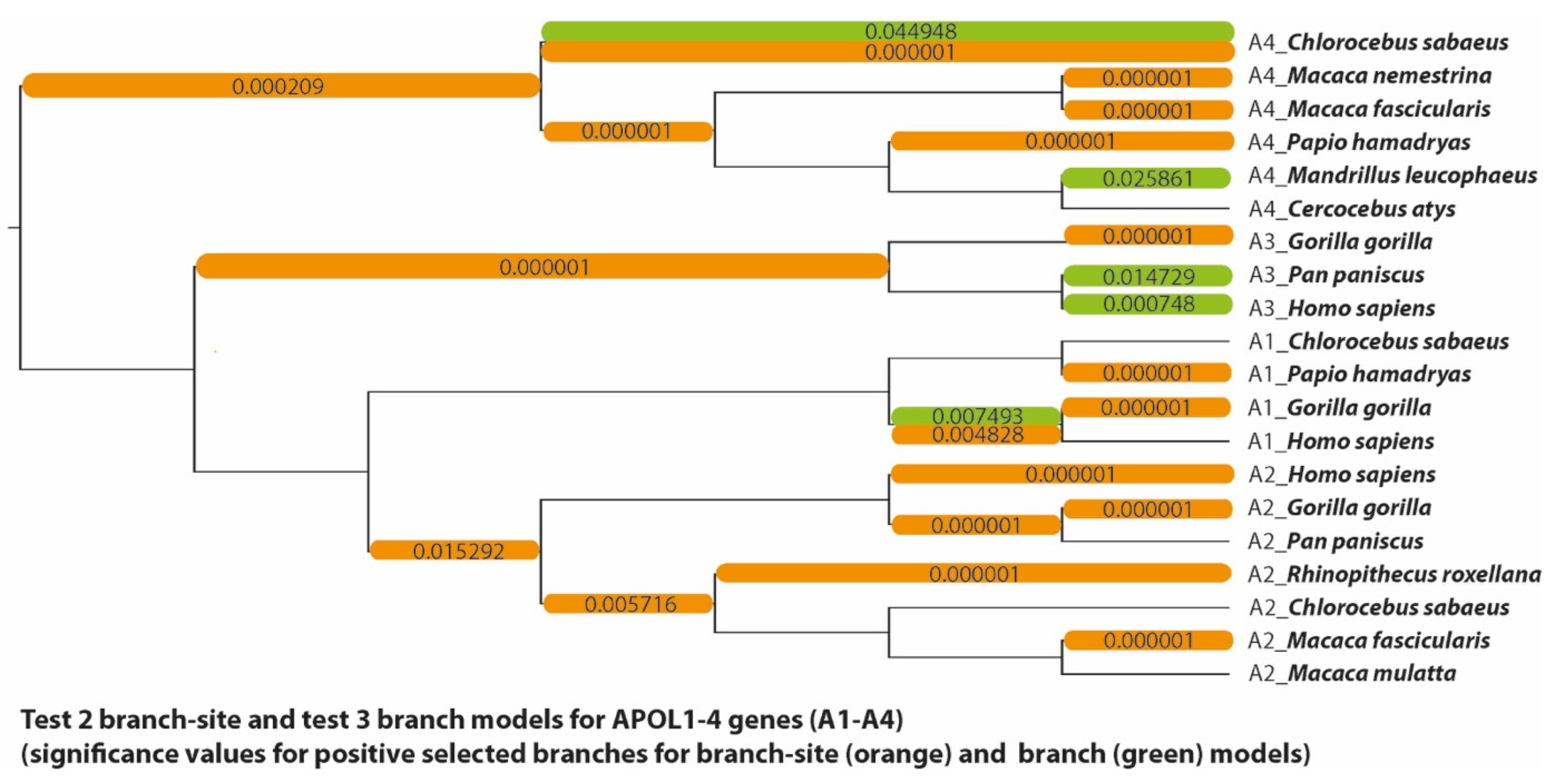 Genes 13 01090 g007 Genes 13 01090 g007