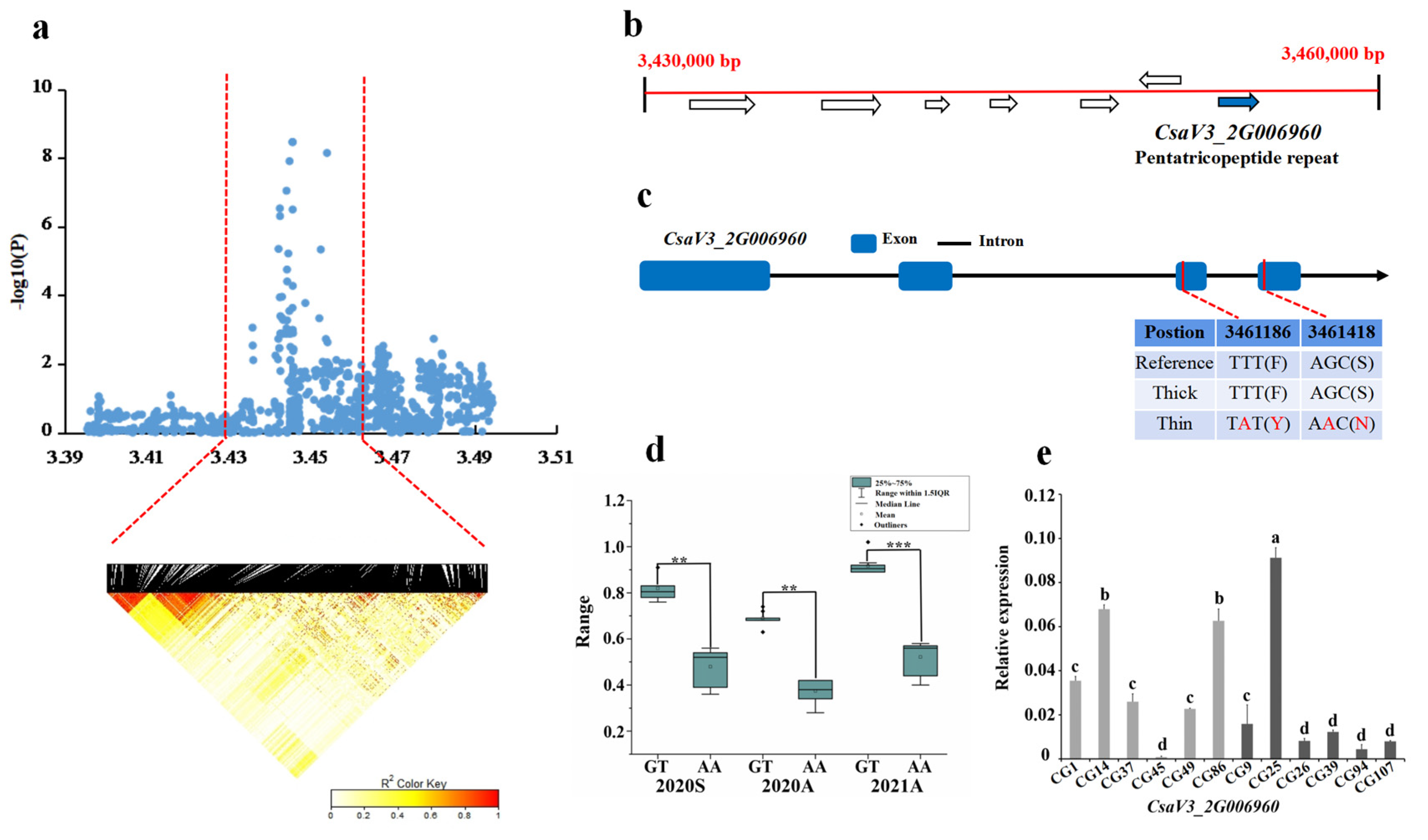 Genes 13 01095 g005 Genes 13 01095 g005