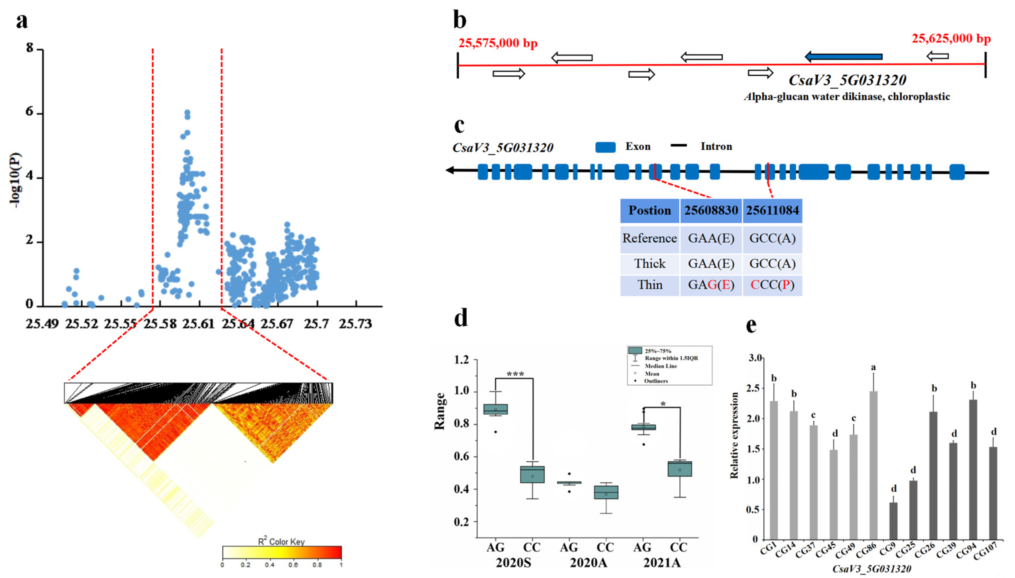 Genes 13 01095 g007 Genes 13 01095 g007