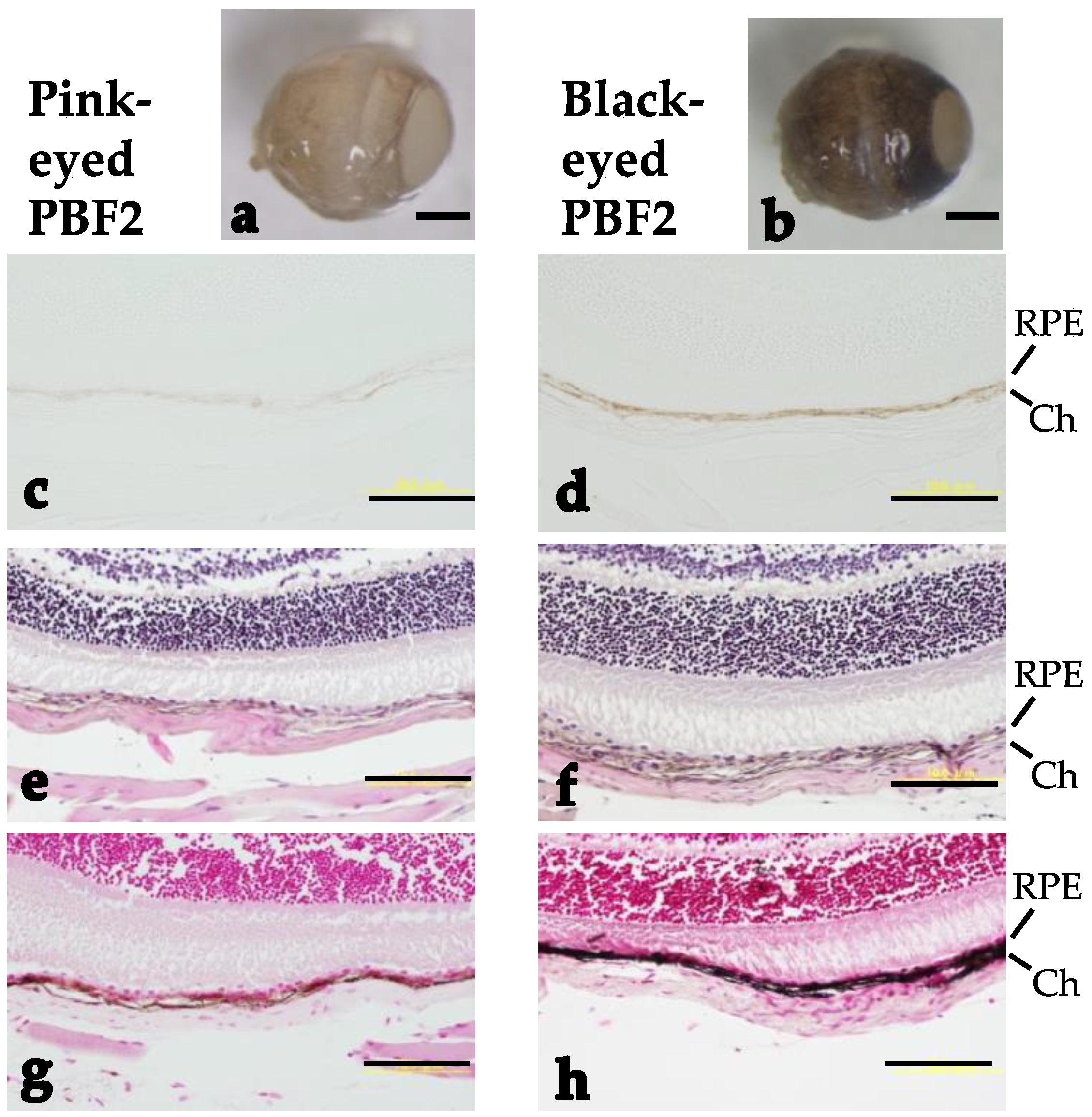Genes 13 01138 g003 Genes 13 01138 g003