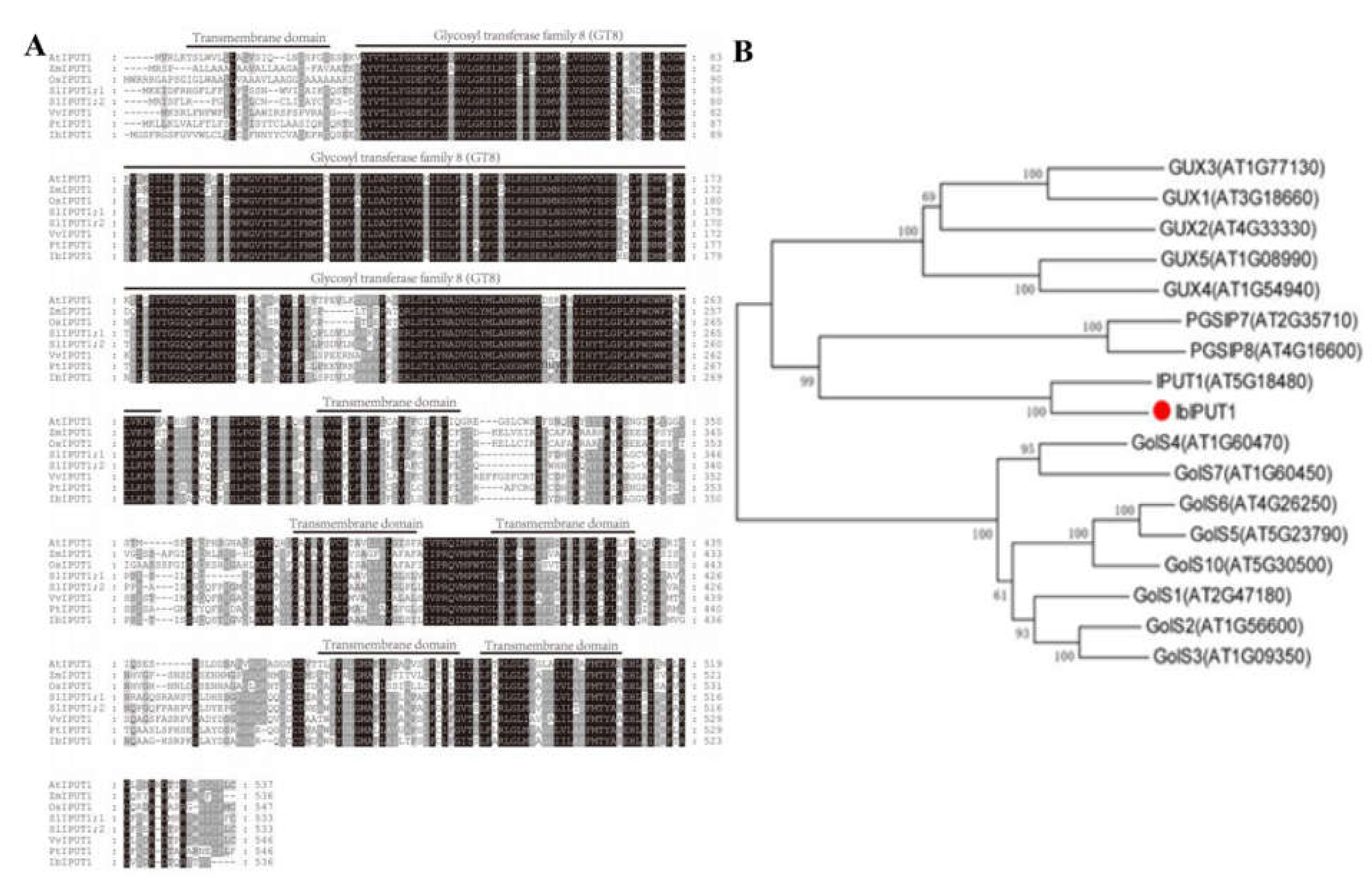 Genes 13 01140 g001
