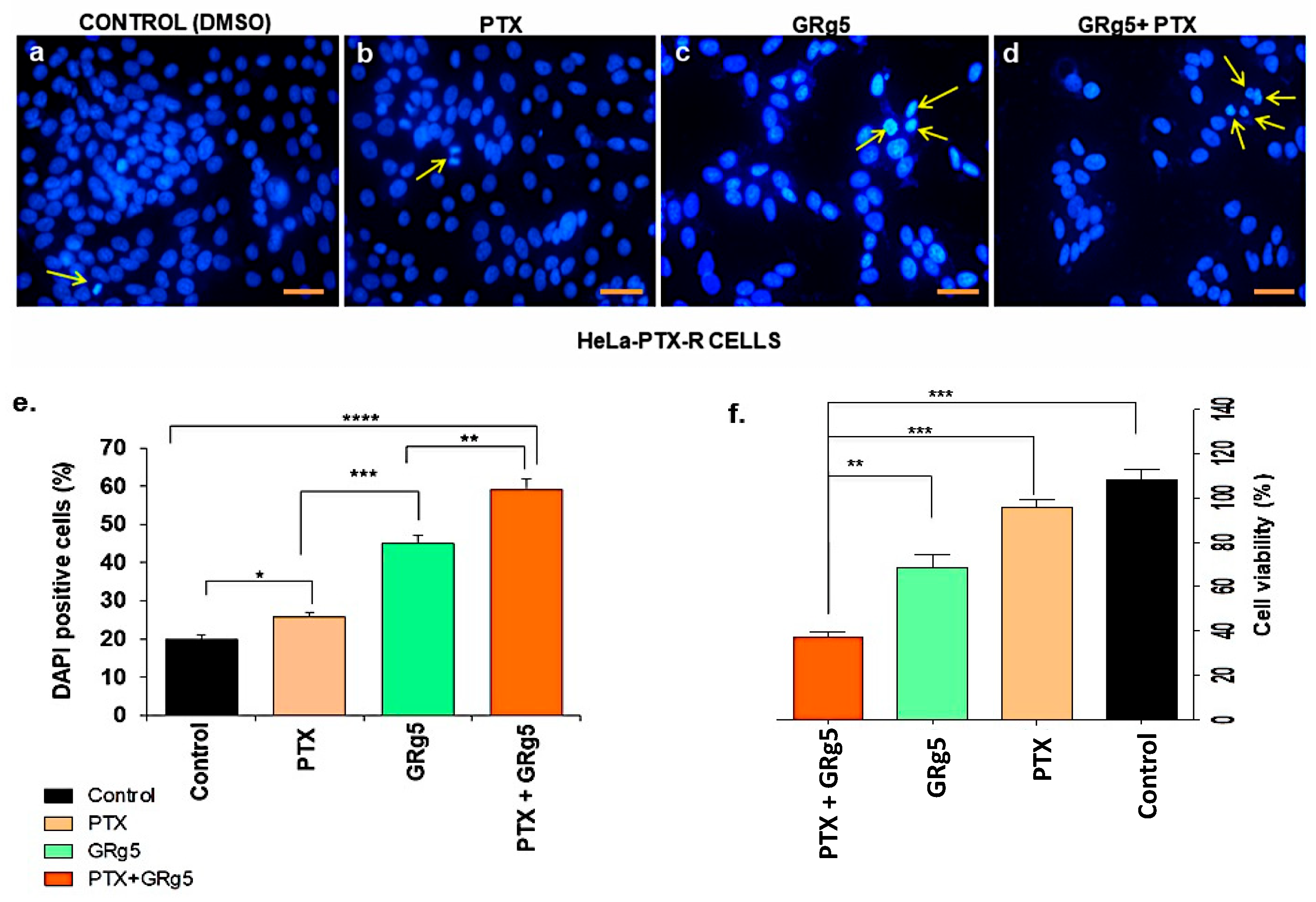 Genes 13 01142 g004