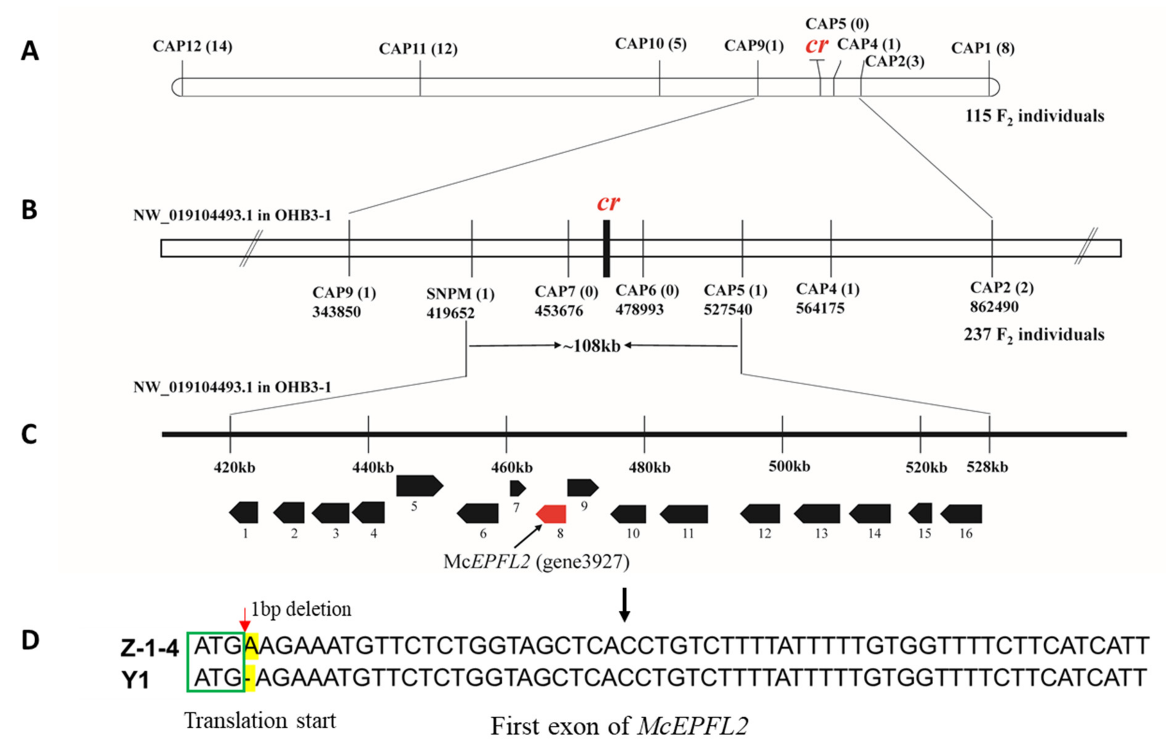 Genes 13 01148 g003