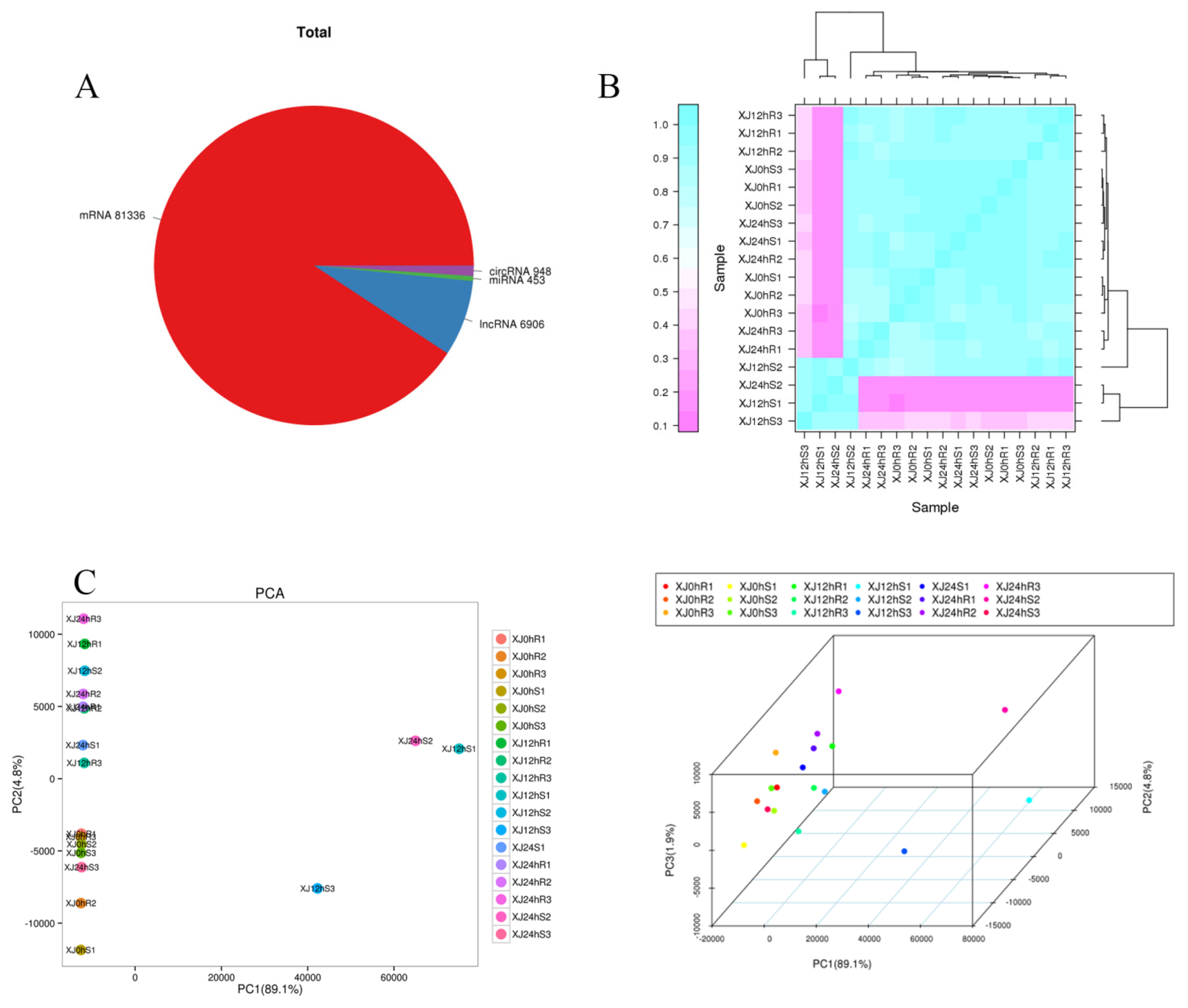 Genes 13 01159 g002