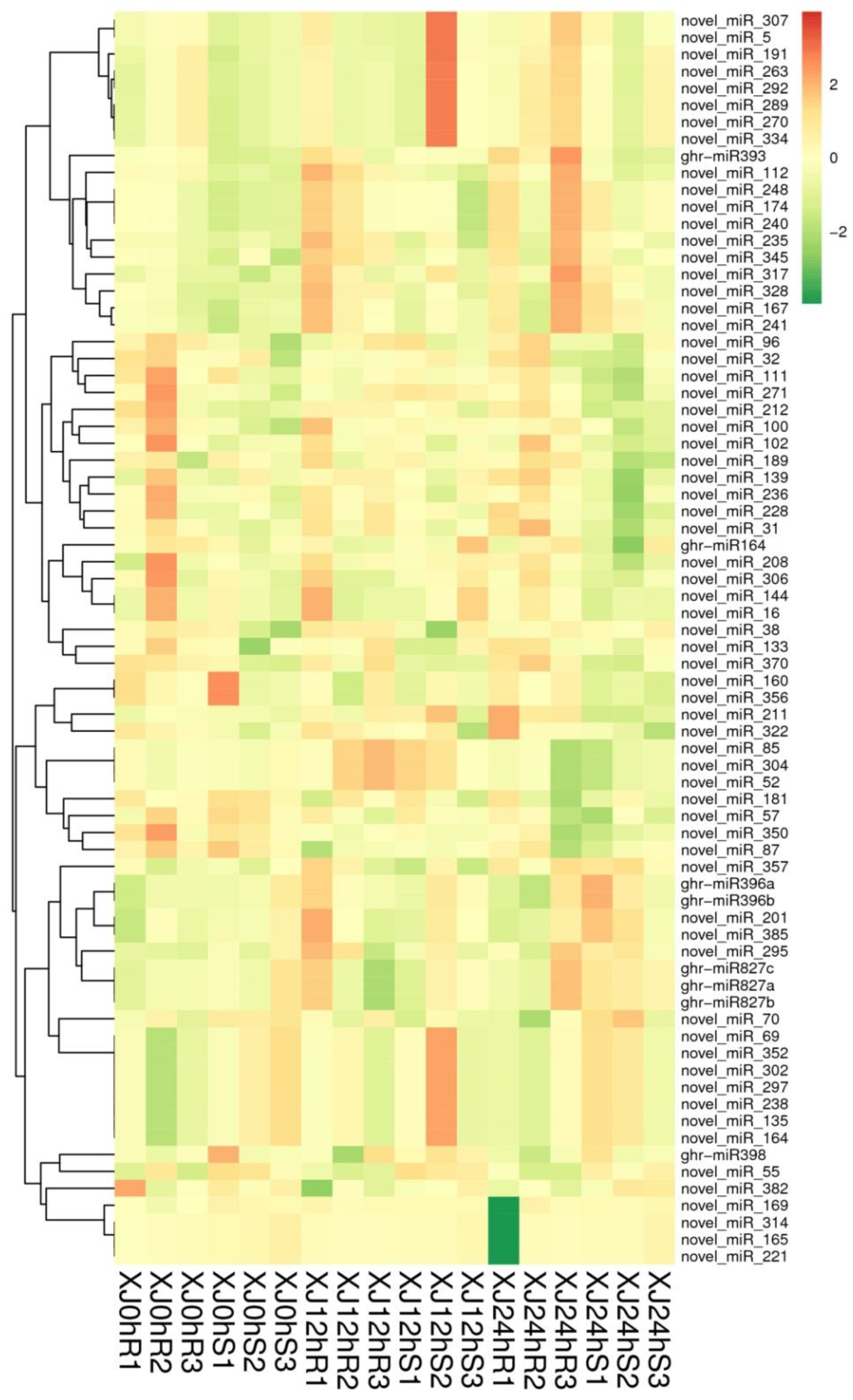 Genes 13 01159 g005